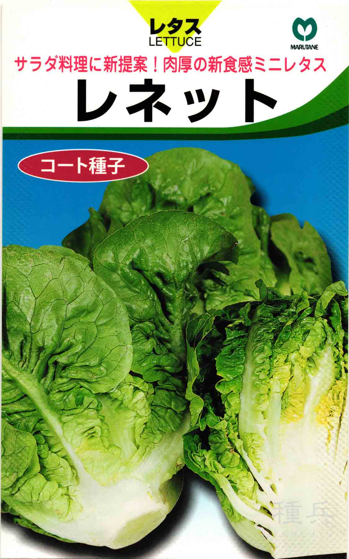 Yahoo! Yahoo!ショッピング(ヤフー ショッピング)肉厚ミニレタス 種 『レネット』  丸種/小袋
