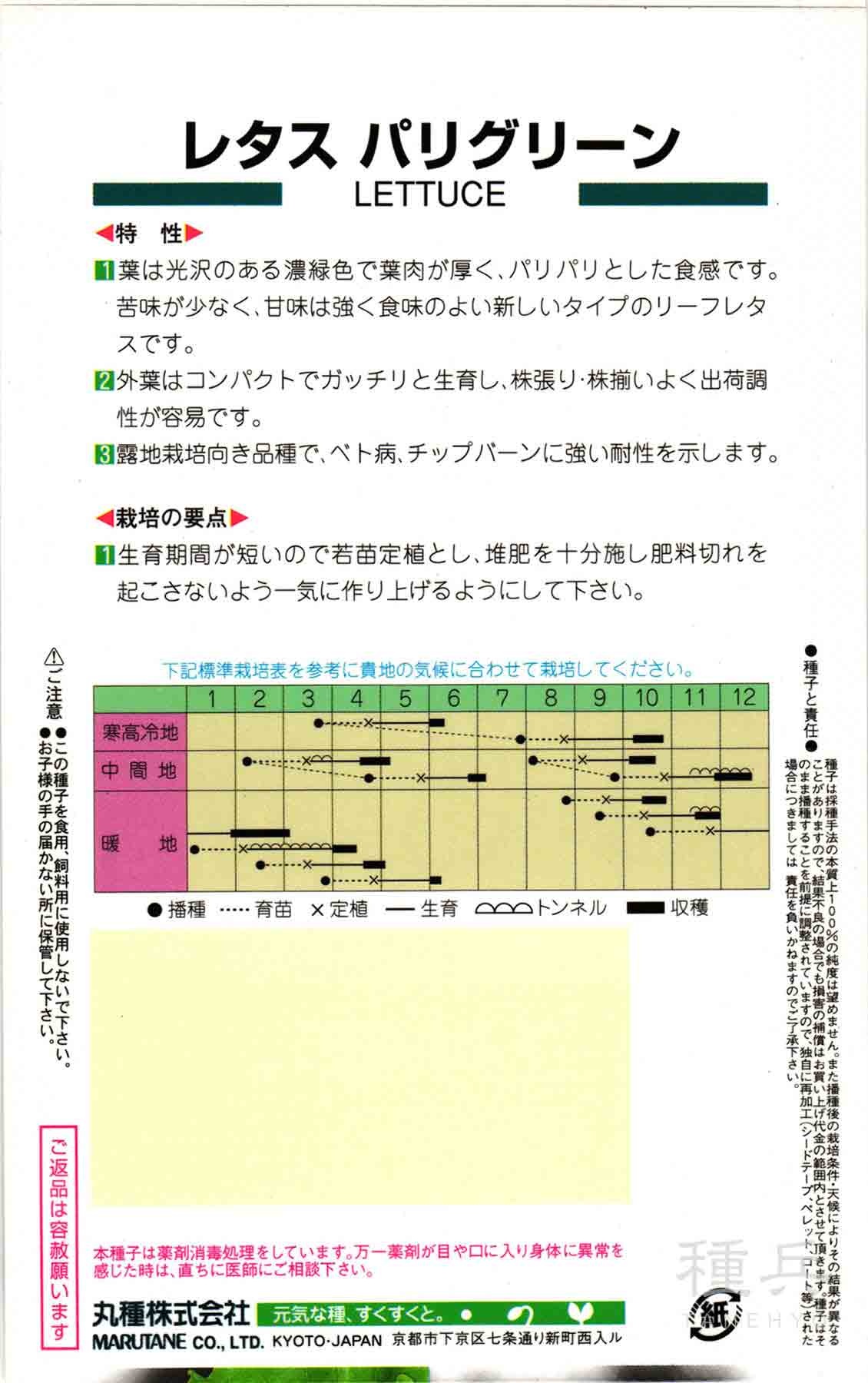 リーフレタス 種 『パリグリーン』 丸種/小袋の詳細画像1