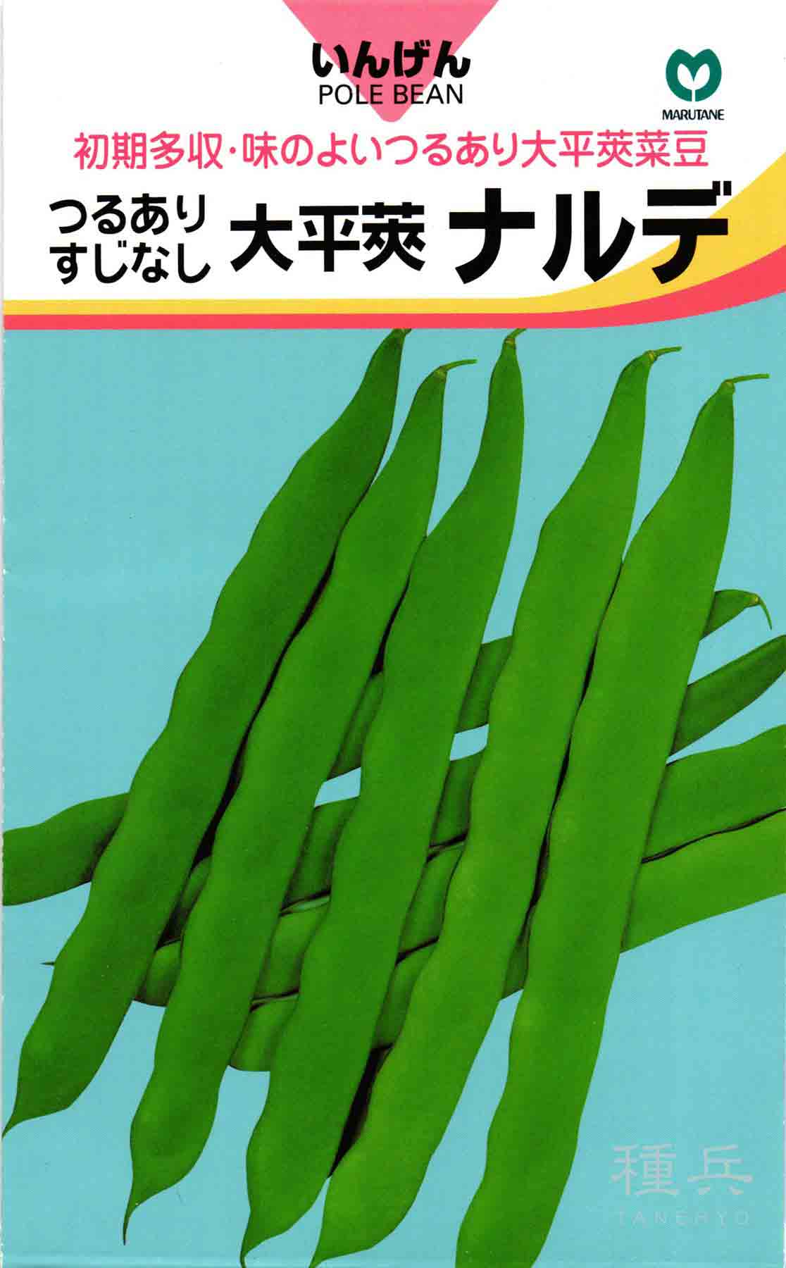 寒玉キャベツ 種 『冬魂（N-243）』 野崎採種場/2500粒 : 種兵ネット