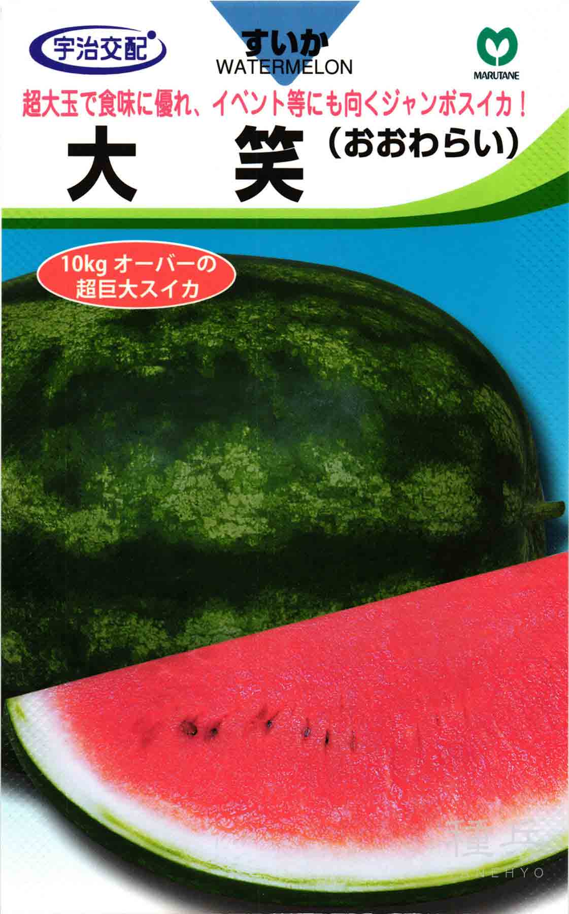 ジャンボスイカ 種 『大笑』 丸種/200粒 : 種兵ネットショッピング