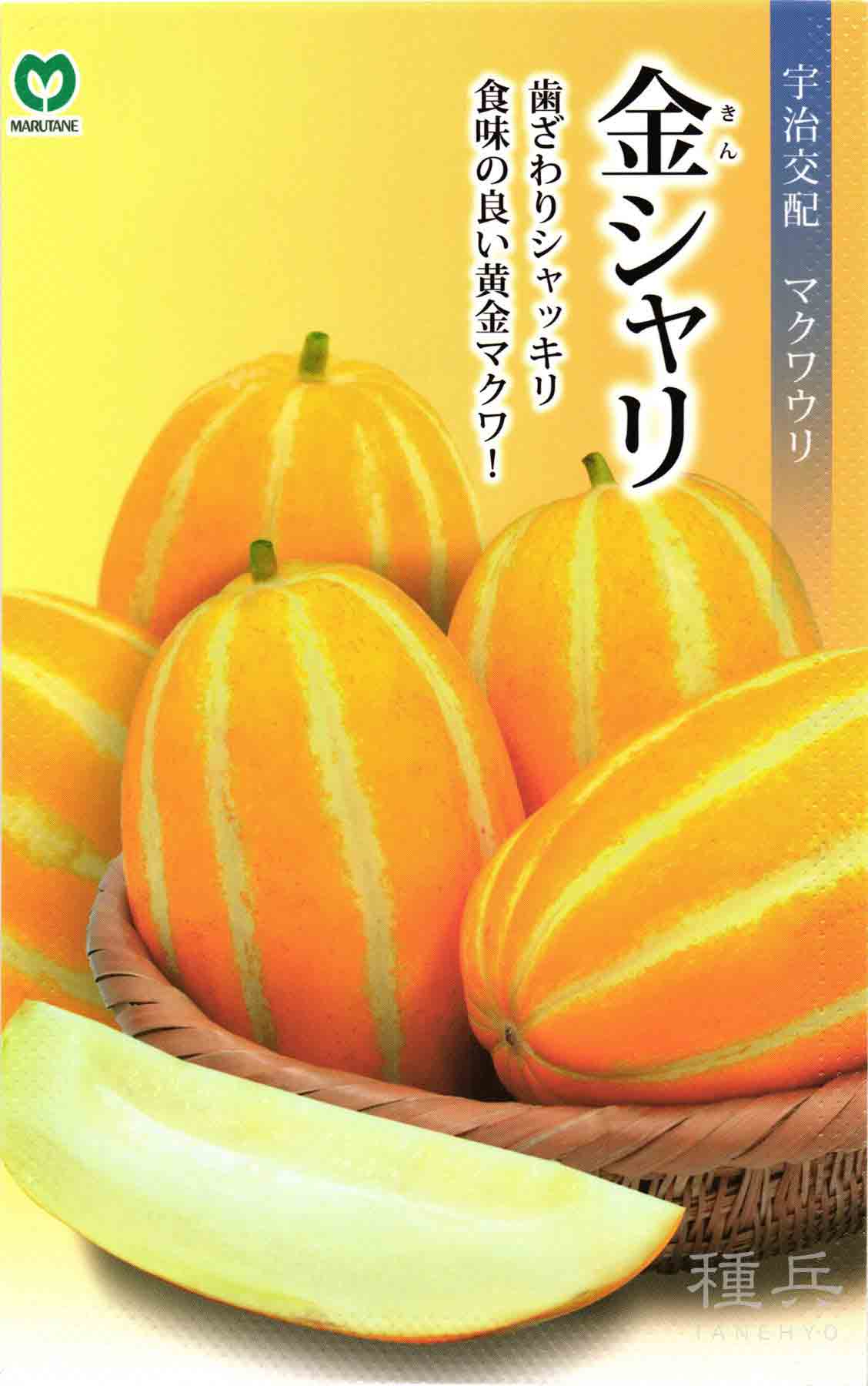マクワウリ 種 『金シャリ』 丸種/10ml : 種兵ネットショッピング