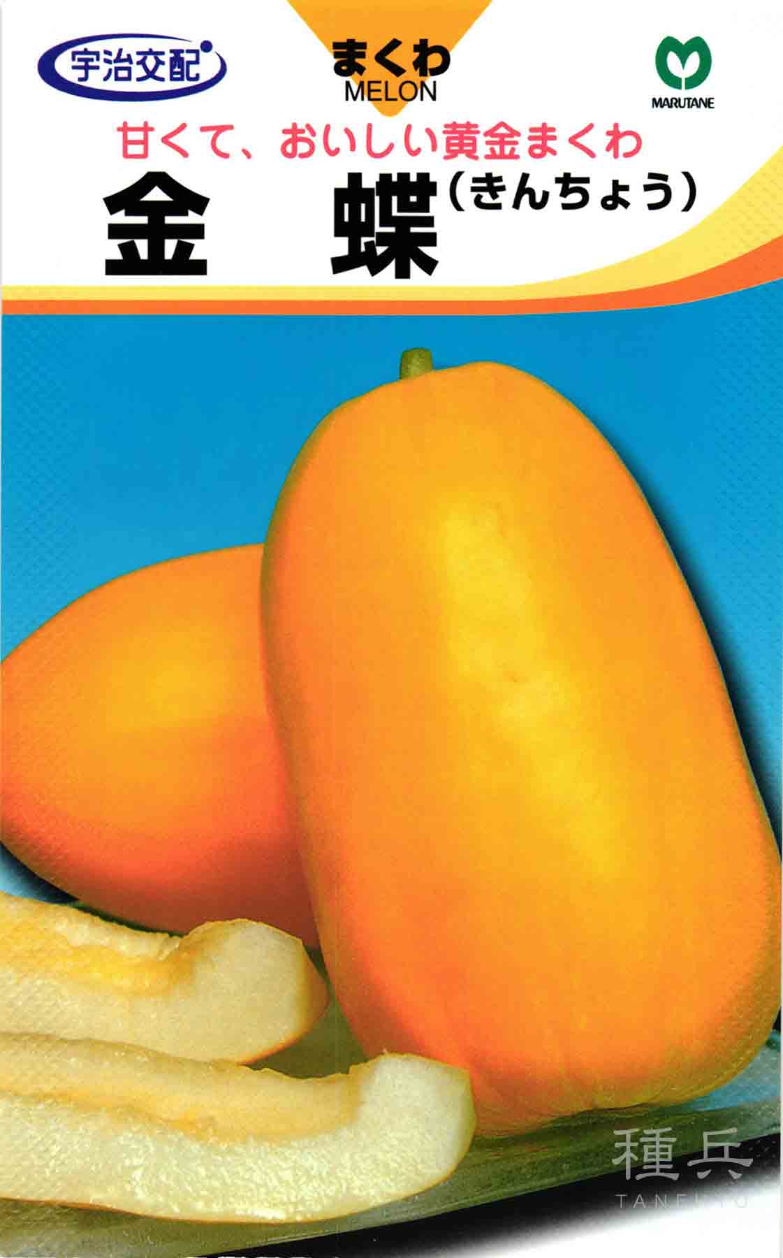 マクワウリ 種 『金蝶甜瓜』 丸種/小袋 : 種兵ネットショッピング