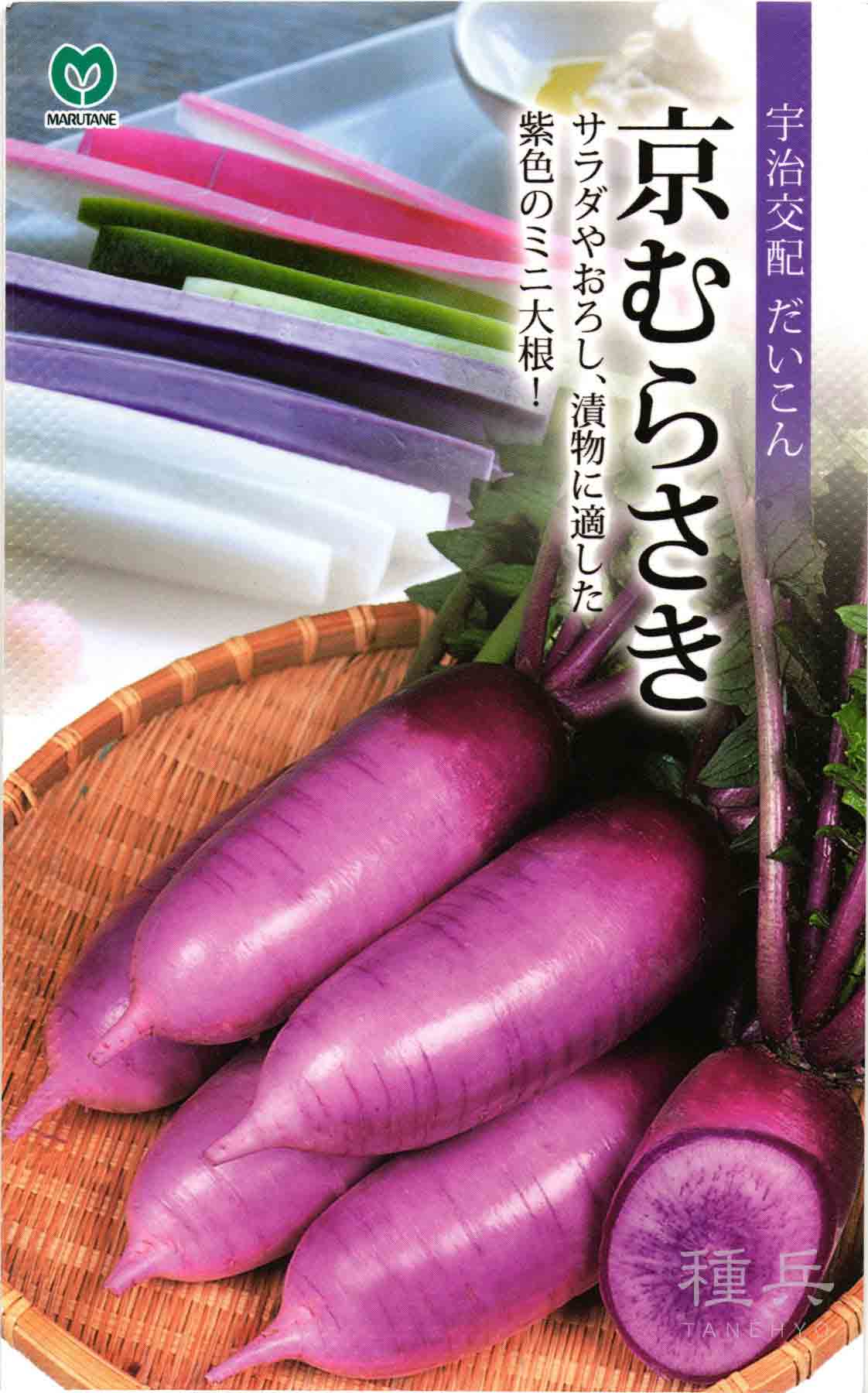 紫ミニダイコン 種 『京むらさき』 丸種/2dl
