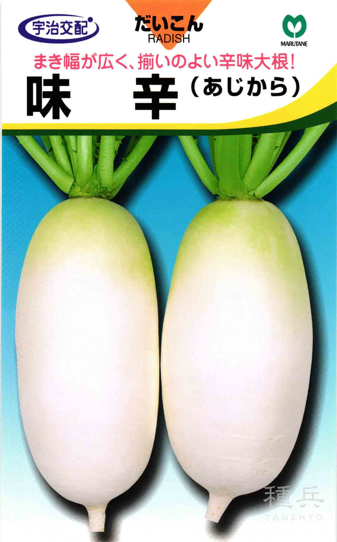 ネギ 種 『冬扇シオン』 サカタのタネ/ペレット 6000粒 : 種兵ネット