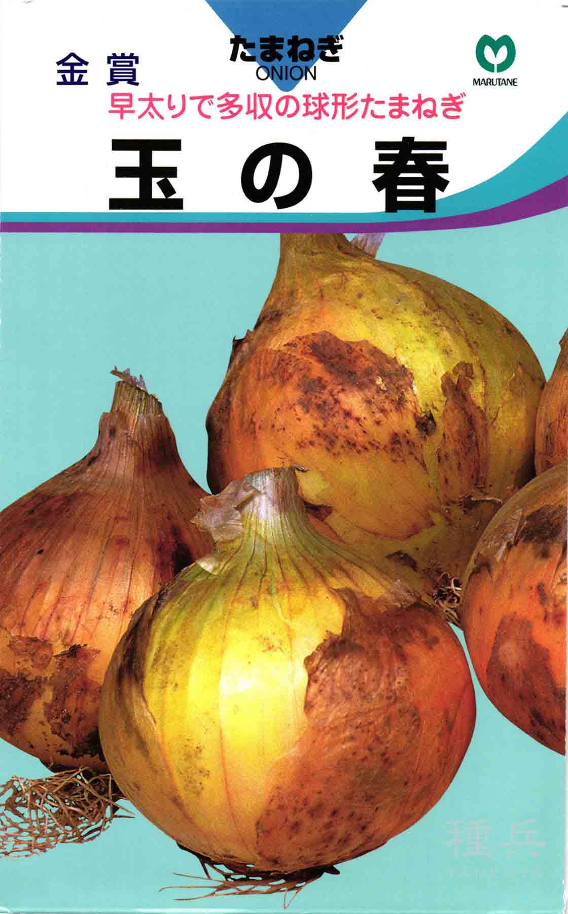 Yahoo! Yahoo!ショッピング(ヤフー ショッピング)極早生タマネギ 種 『玉の春』  丸種/小袋