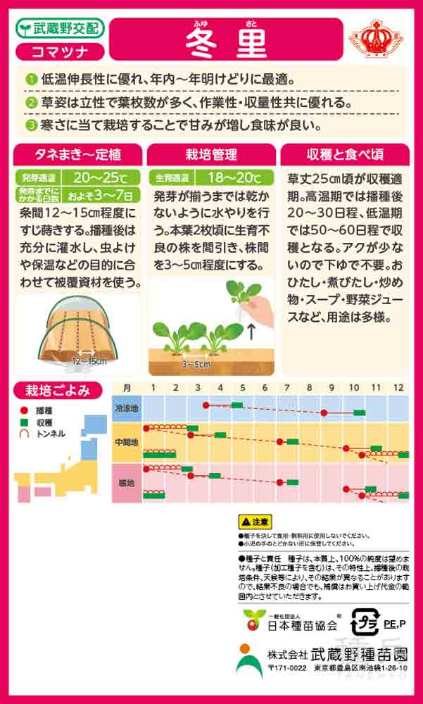 コマツナ 種 『冬里』 武蔵野種苗園/20mlの詳細画像1