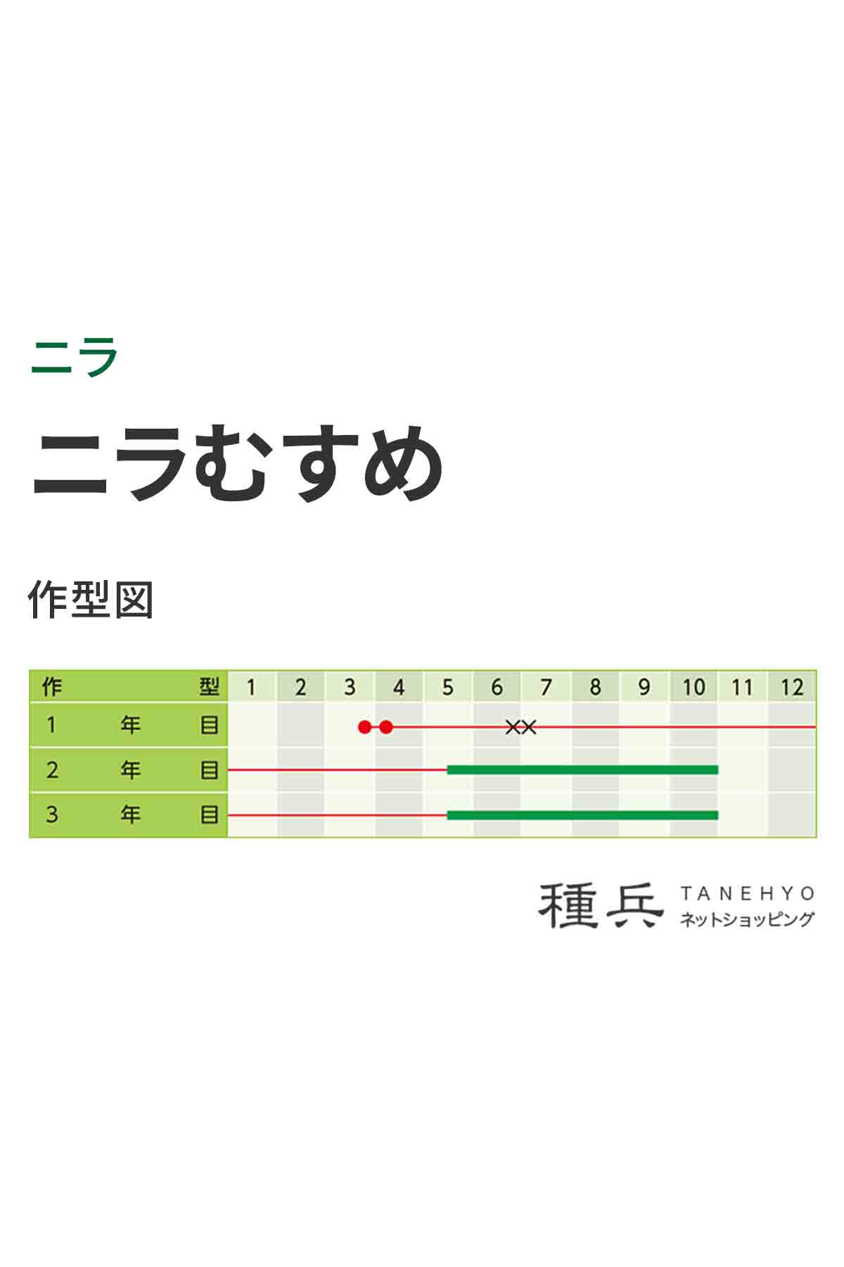 ニラ 種 『ニラむすめ』 武蔵野種苗園/1dl