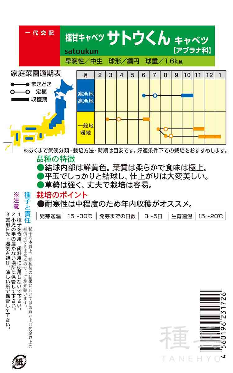秋〜早春キャベツ 種 『サトウくん』 ナント種...の詳細画像1