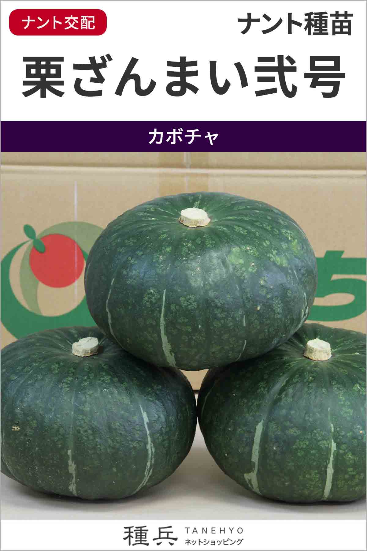 栗カボチャ 種 『栗ざんまい弐号』 ナント種苗/500粒 : 種兵ネット