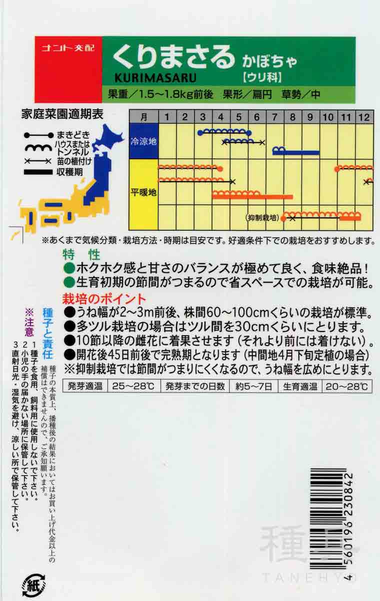 栗カボチャ 種 『くりまさる』 ナント種苗/小袋の詳細画像1