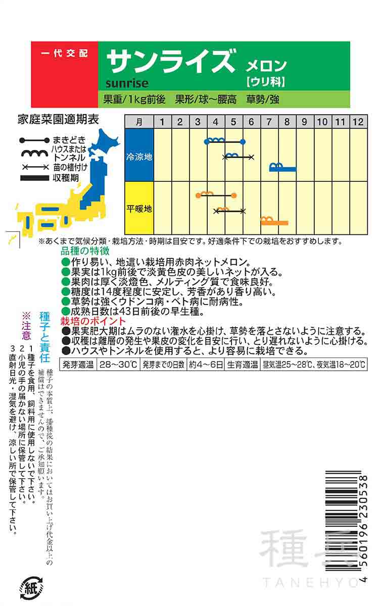 ネットメロン 種 『サンライズ(露地deメロン...の詳細画像1
