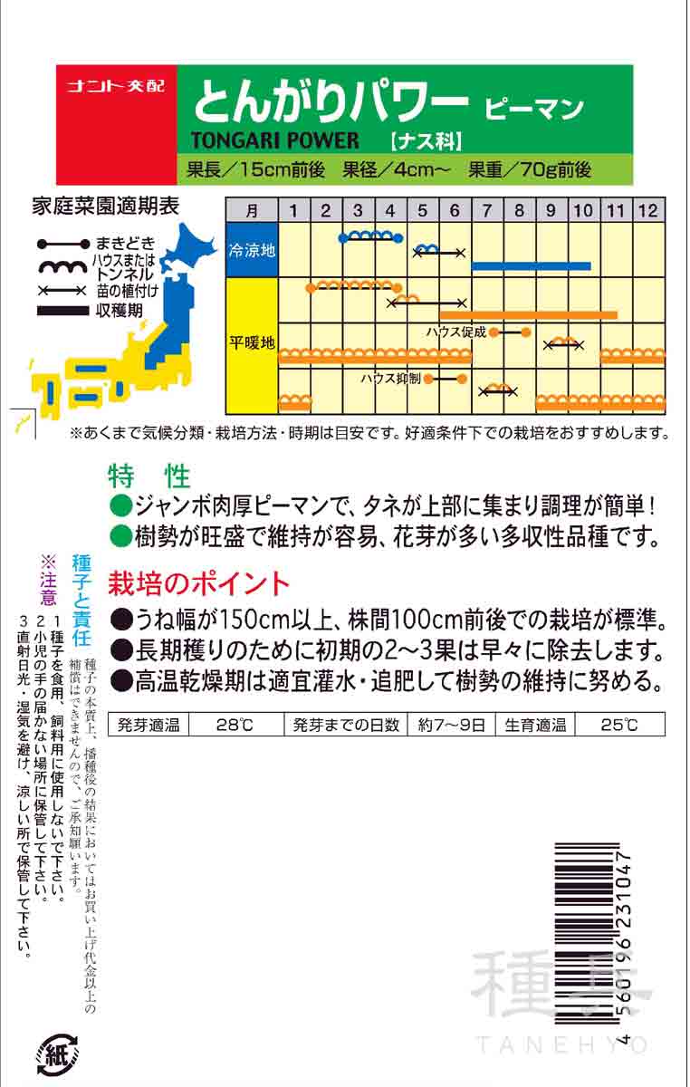 大型ピーマン 種 『とんがりパワー』 ナント種...の詳細画像1