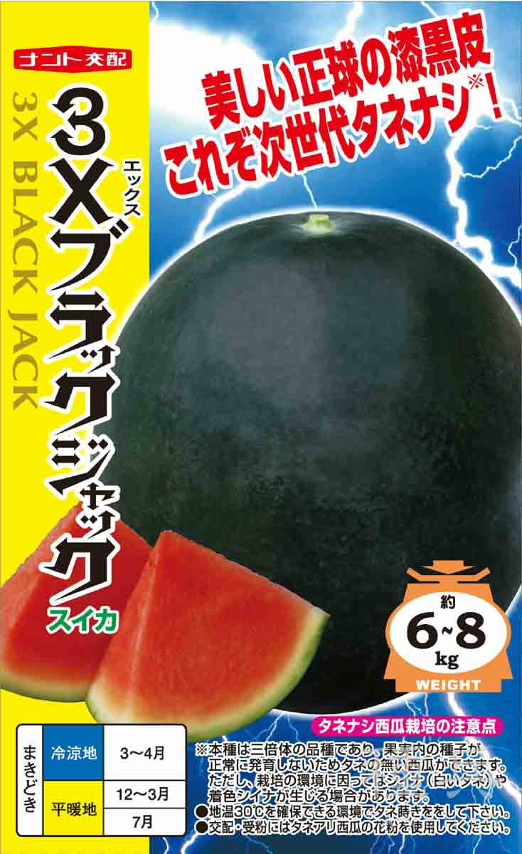 種なしスイカ 種 『3Xブラックジャック』 ナント種苗/小袋 : 種兵