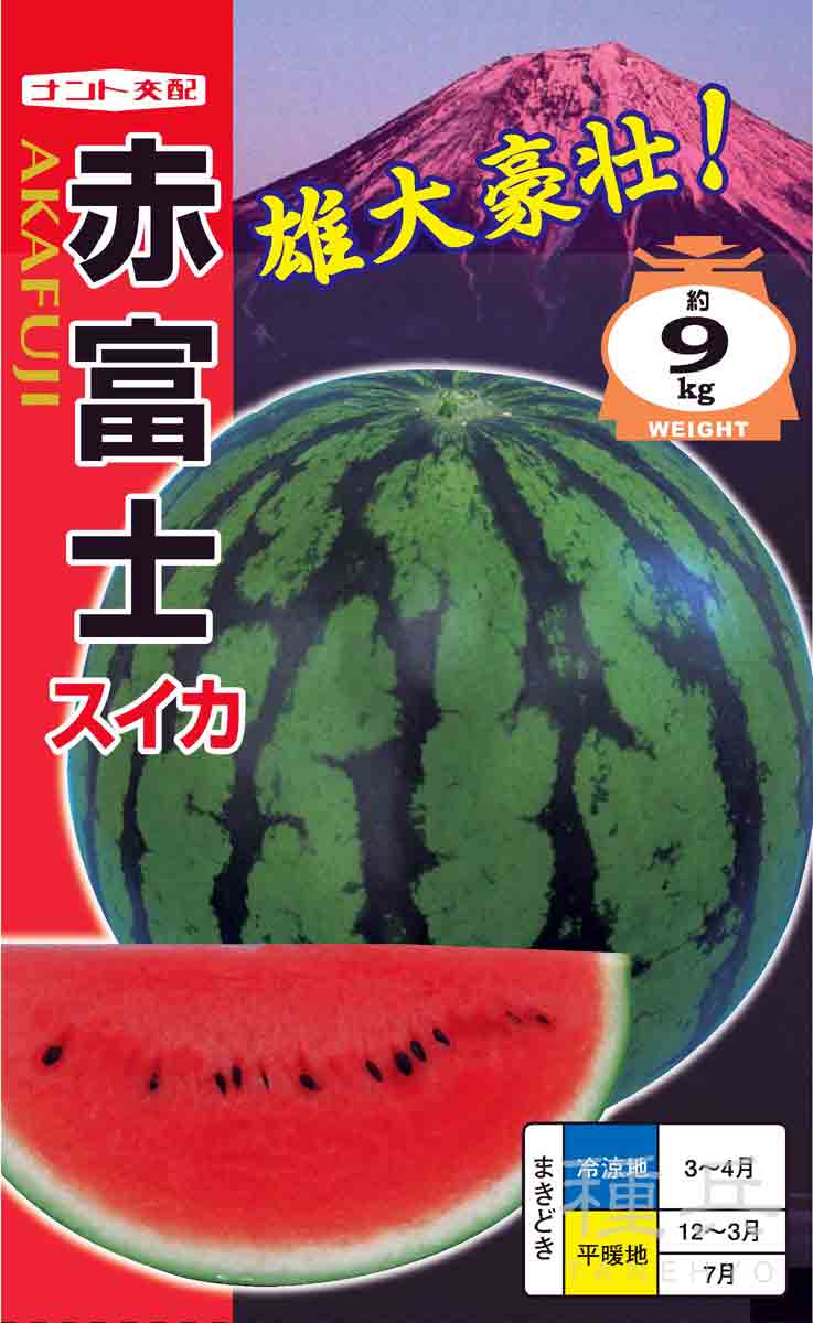 大玉スイカ 種 『赤富士』 ナント種苗/200粒 : 種兵ネットショッピング