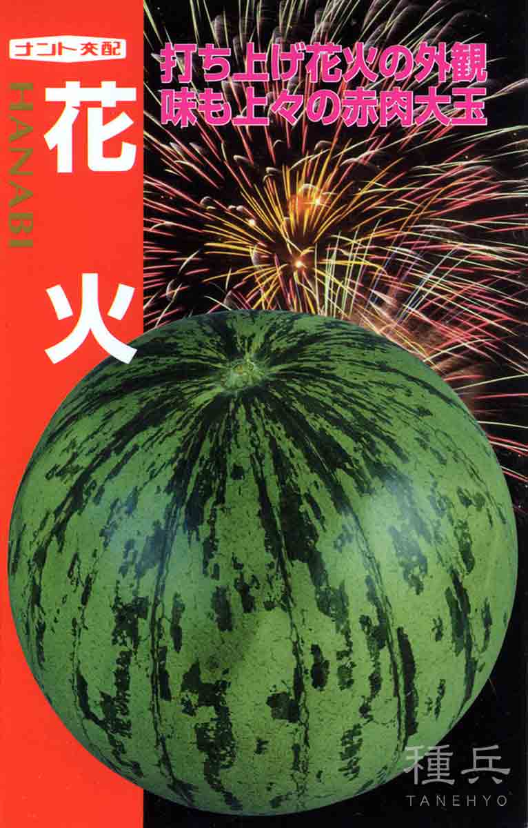 Yahoo! Yahoo!ショッピング(ヤフー ショッピング)大玉スイカ 種 『花火』  ナント種苗/小袋
