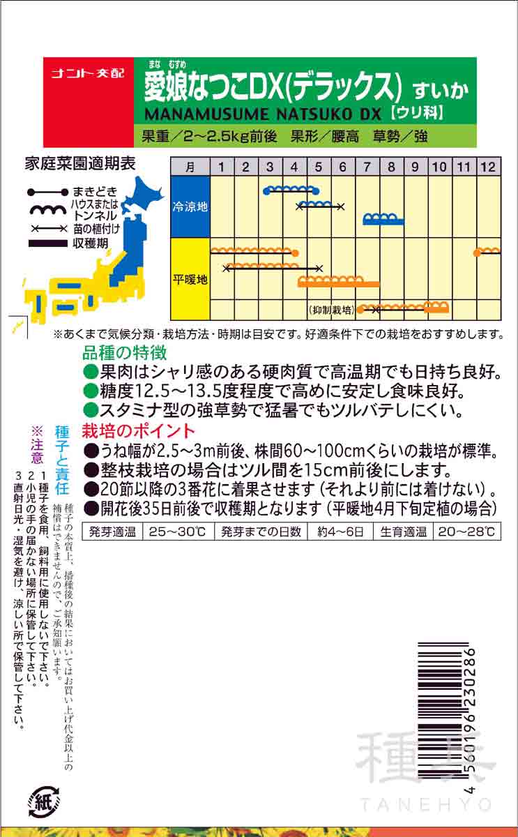 紅小玉スイカ 種 『愛娘なつこDX』 ナント種...の詳細画像1