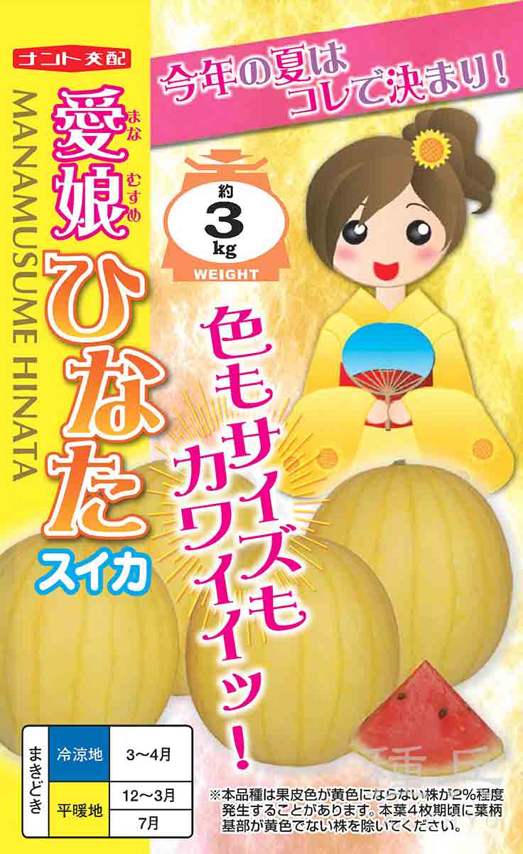 黄皮紅小玉スイカ 種 『愛娘ひなた』  ナント種苗/200粒