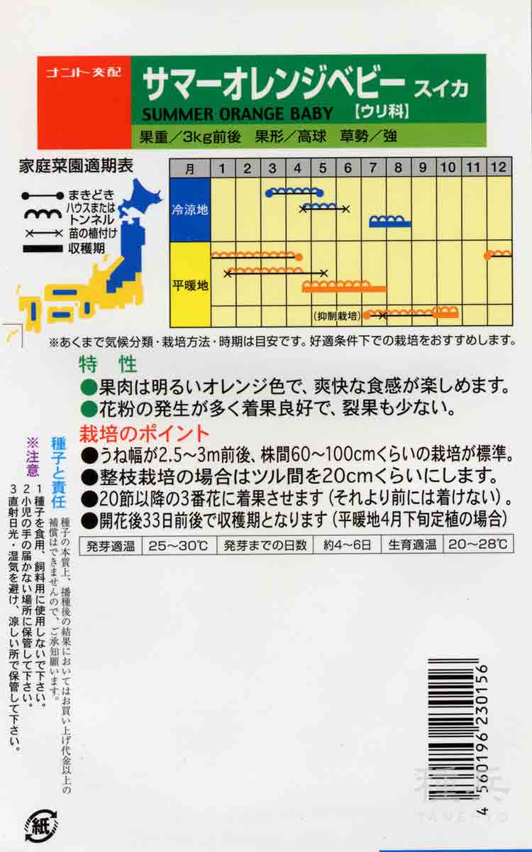 オレンジ小玉スイカ 種 『サマーオレンジベビー...の詳細画像1
