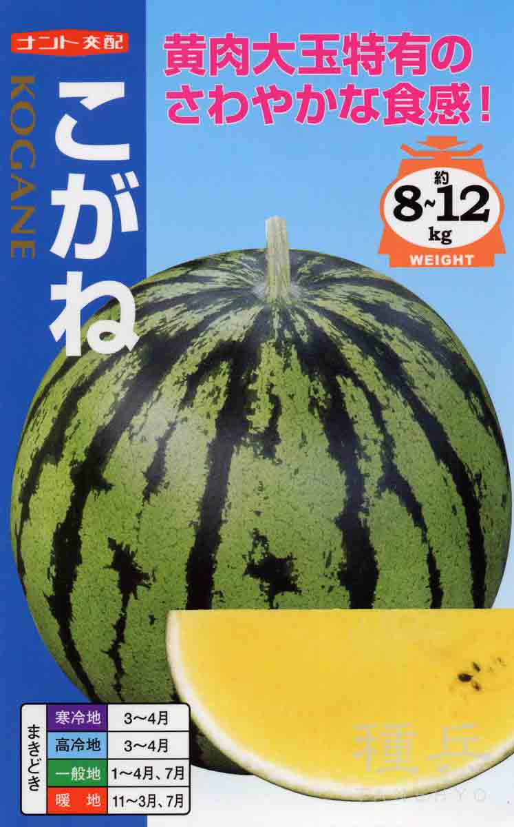 黄大玉スイカ 種 『こがね』 ナント種苗/200粒 : 種兵ネット