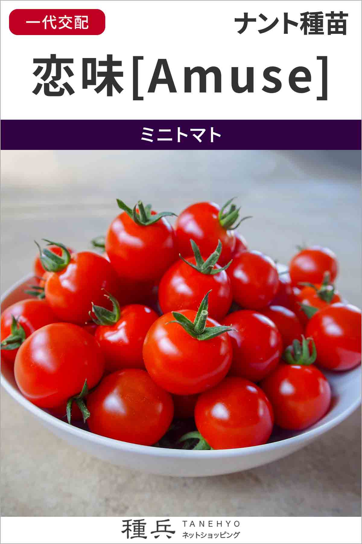 ミニトマト 種 『恋味[Amuse] (恋味アミューズ)』  ナント種苗/500粒