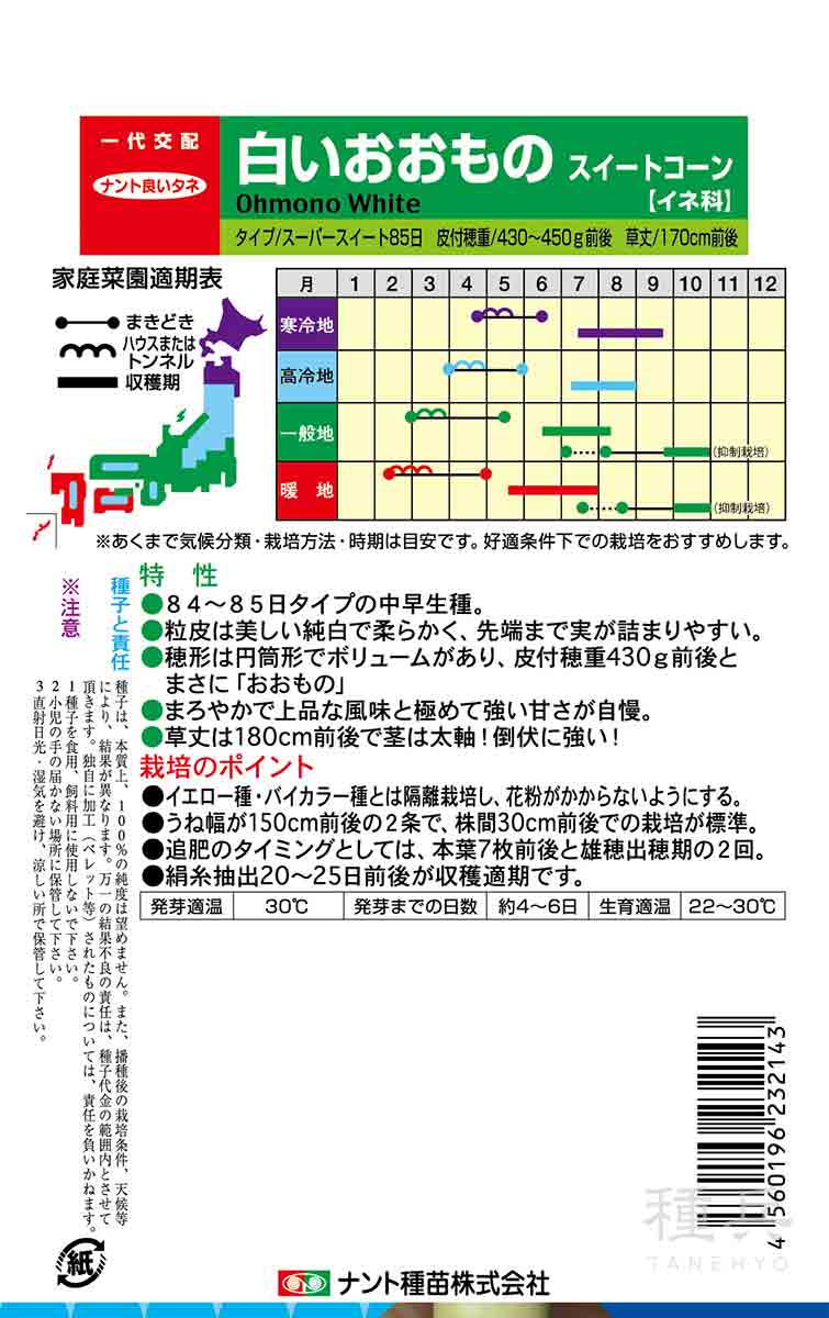スイートコーン 種 『白いおおもの』 ナント種...の詳細画像1