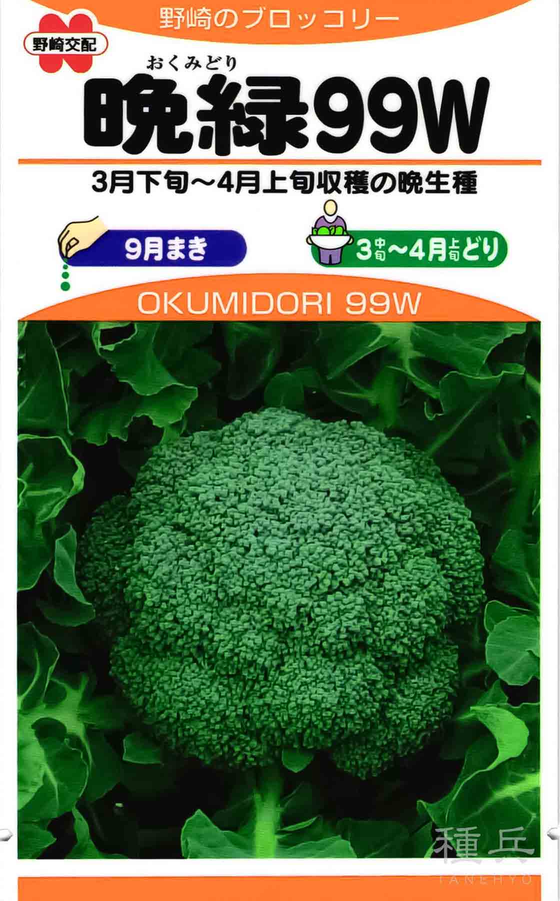 ブロッコリー コート種子 5000粒 晩緑99W okumidori99w.jpg