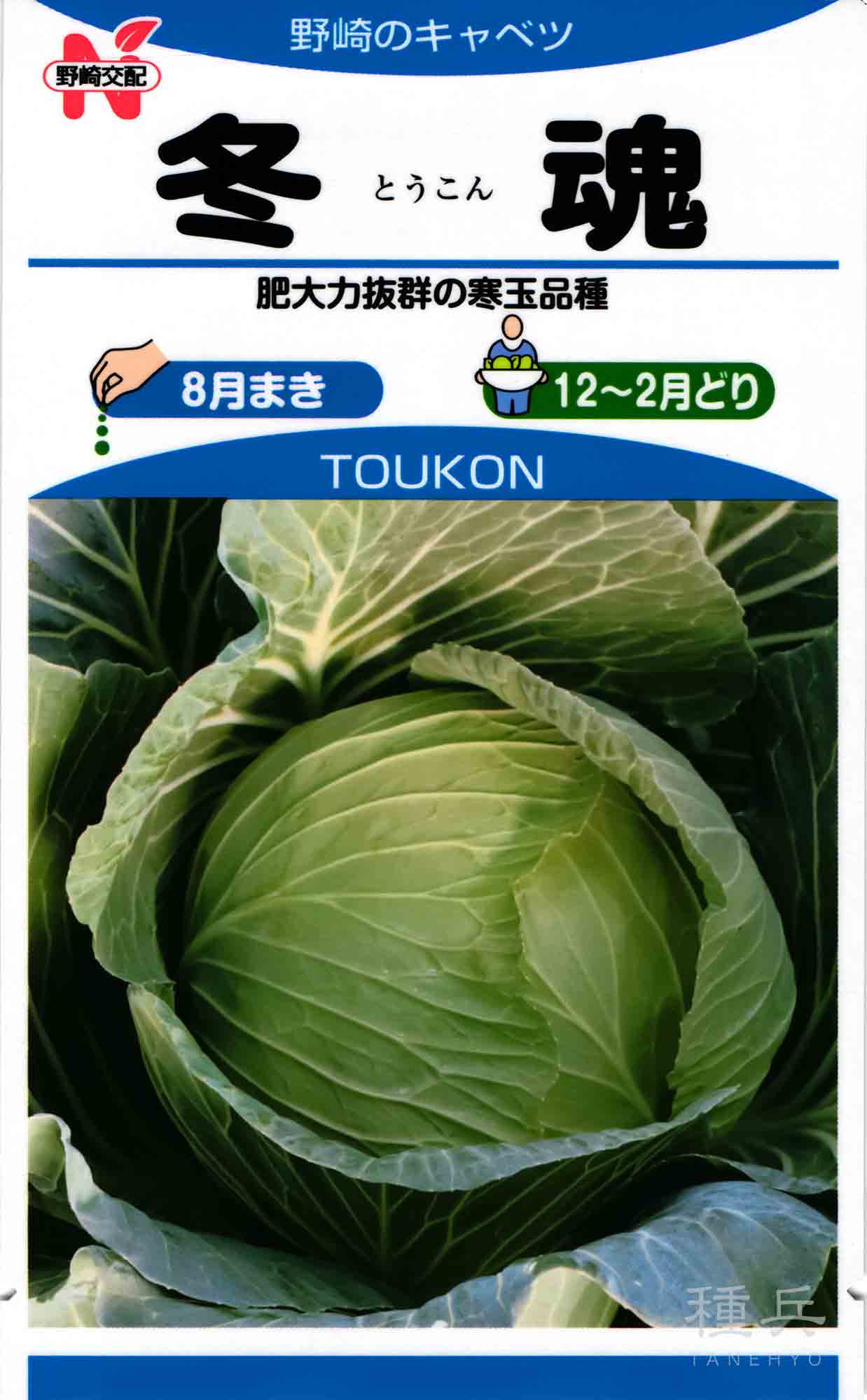 キャベツ 寒玉キャベツ 種 『冬魂（N-243）』 野崎採種場/2500粒 : 種兵ネット