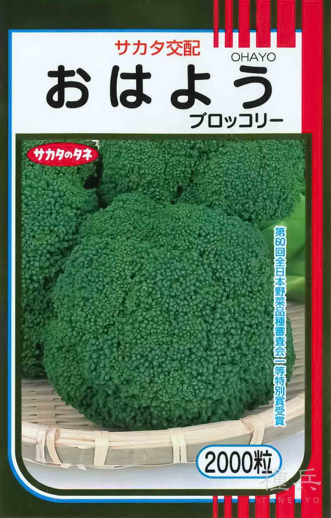 【通常よりさらに値下げ】ブロッコリー種子（おはよう）5000粒4個セット ブロッコリー 種 『おはよう』 サカタのタネ/ペレット 5000粒 : 種兵