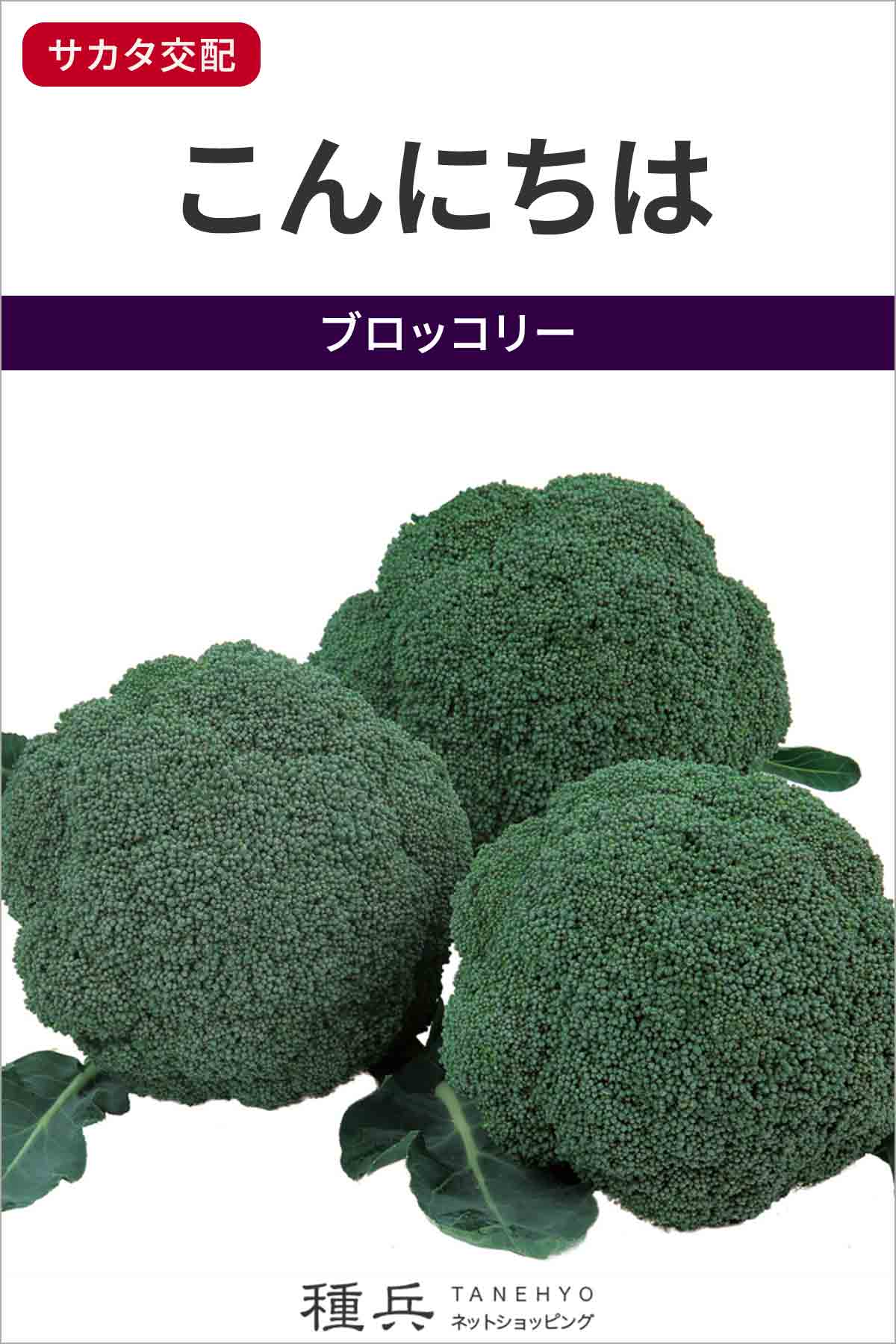 お得セット】ブロッコリー（SK9-099、おはよう）種子2個セット 【公式