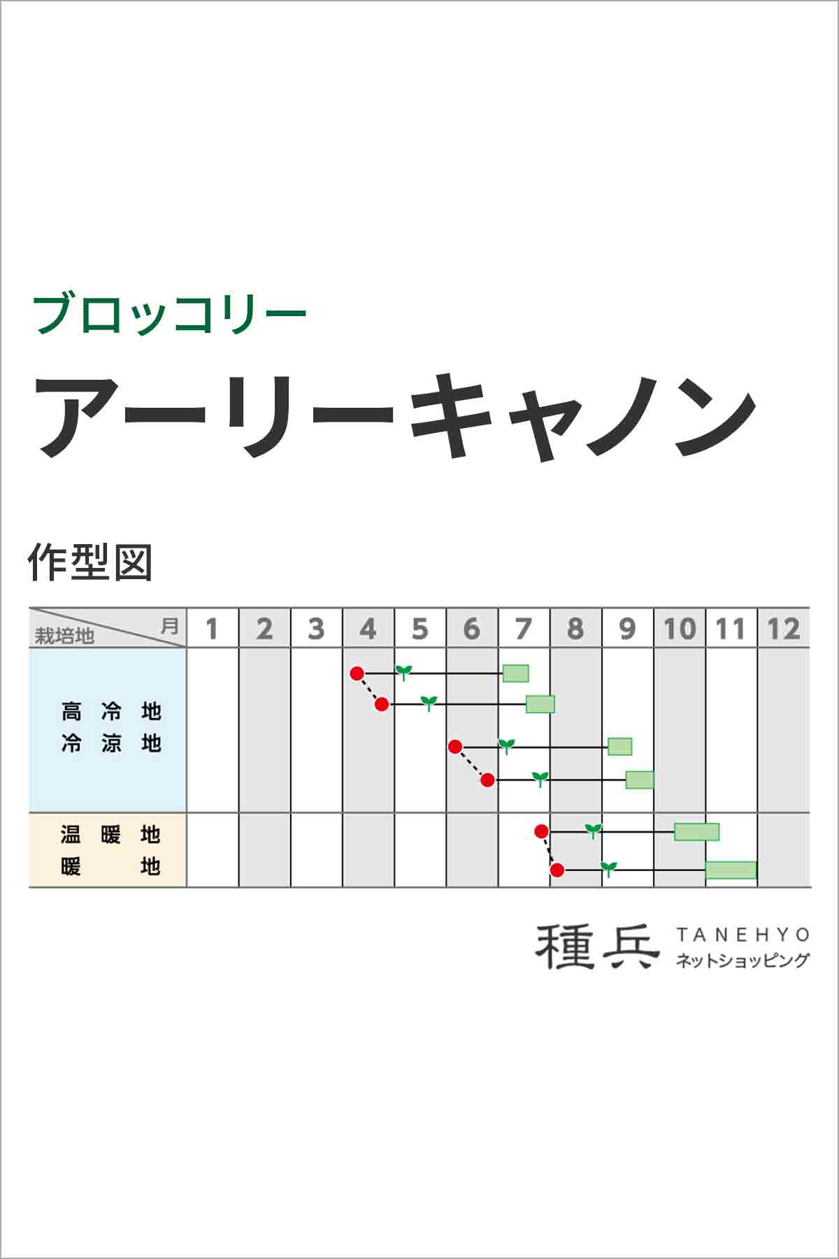 ブロッコリー 種 『アーリーキャノン』 サカタのタネ/ペレット 5000粒