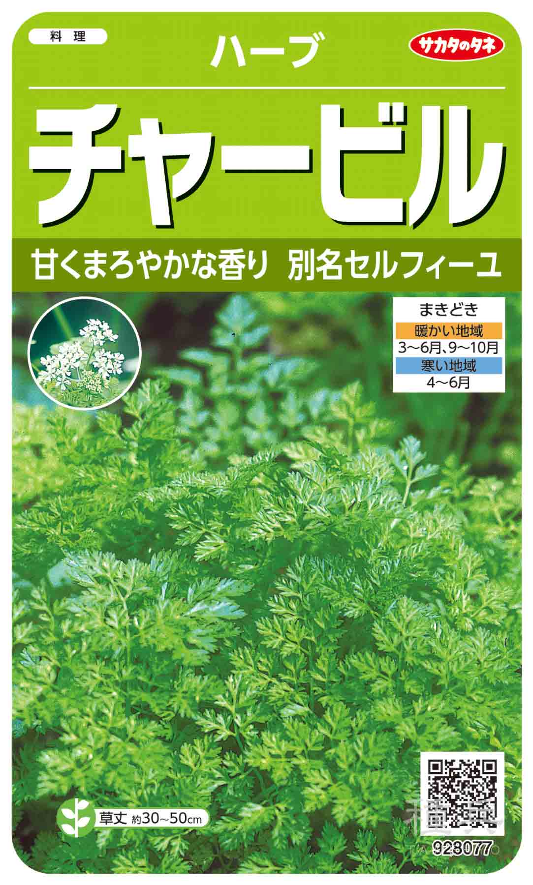 楽天市場】トキタ種苗 コリアンダー ナリーパクチー 小袋 : 種苗・園芸