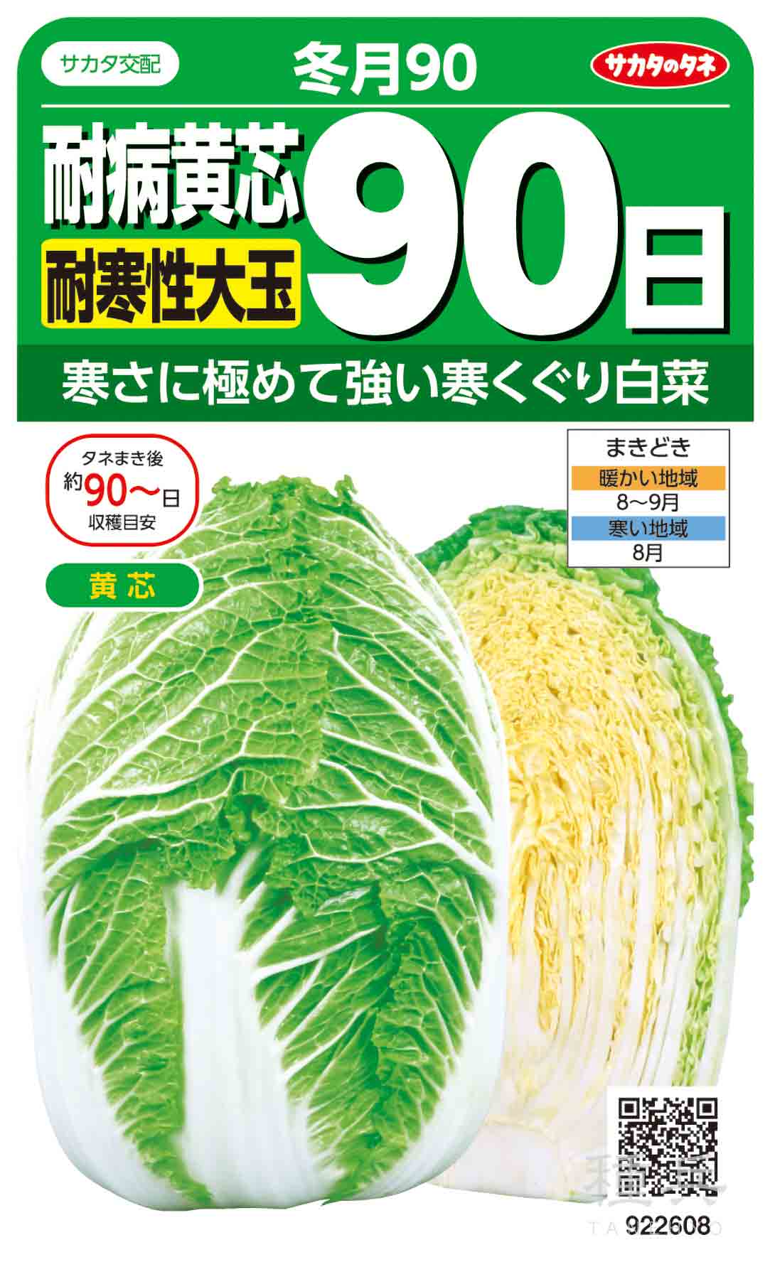 サカタのタネ 冬扇シオン ネギ ペレット種子 6000粒3袋セット ネギ 種 『冬扇シオン』 サカタのタネ/ペレット 6000粒 : 種兵ネット