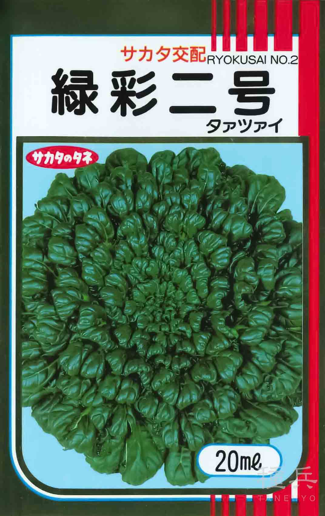 【タバタショウカイさん用】 タァツァイ 種 『緑彩二号』 サカタのタネ/20ml : 種兵ネット