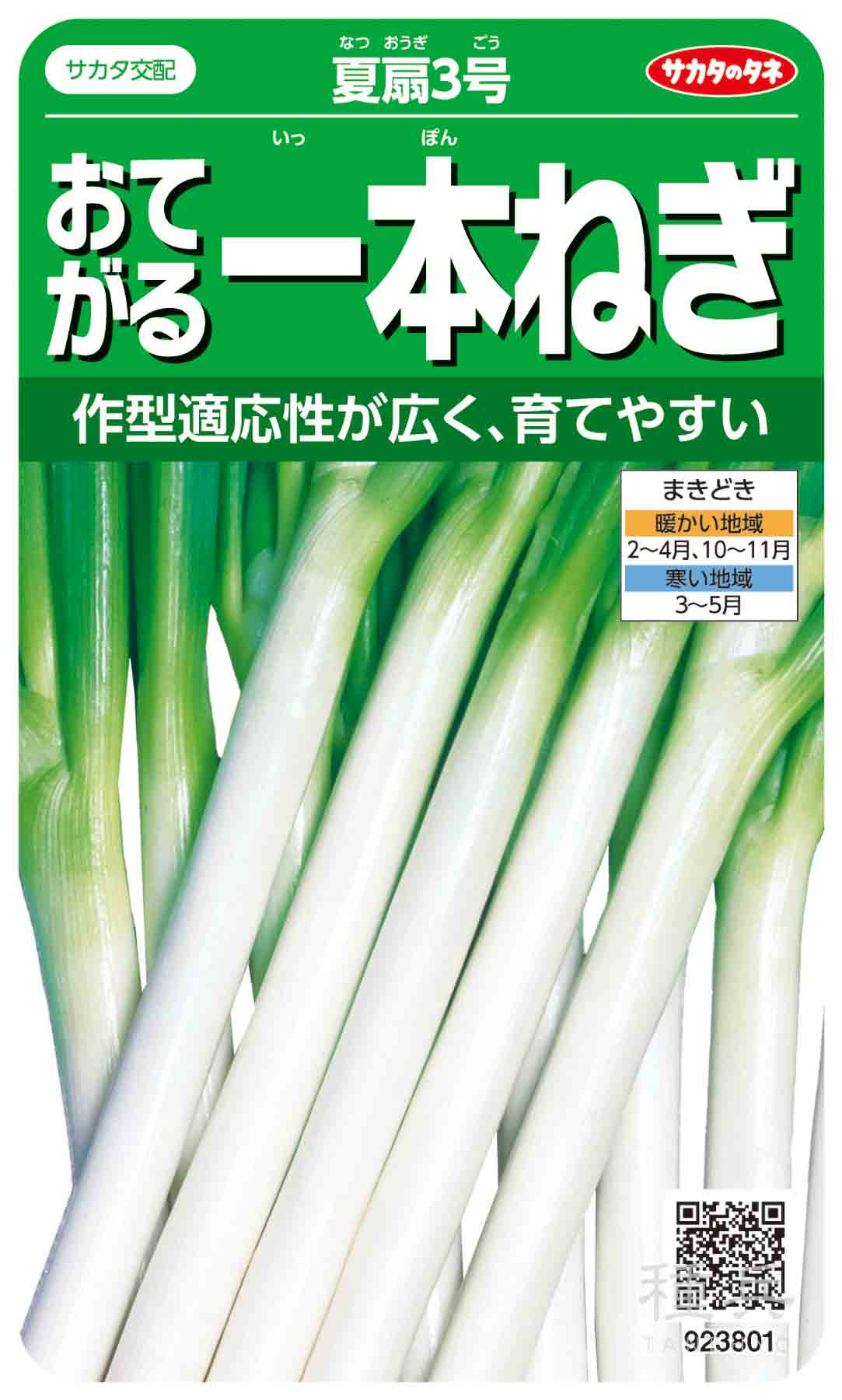 ネギ 種 『夏扇3号』 サカタのタネ/ペレット 6000粒 : 種兵