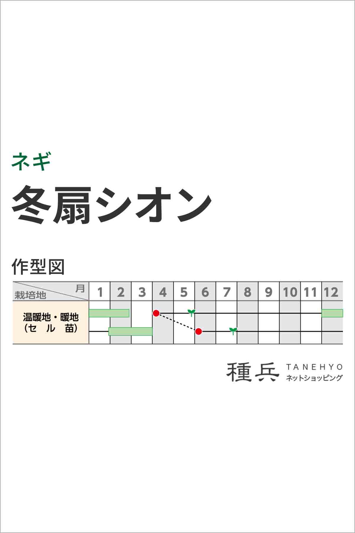 ネギ 種 『冬扇シオン』 サカタのタネ/ペレット 6000粒 : 種兵ネット