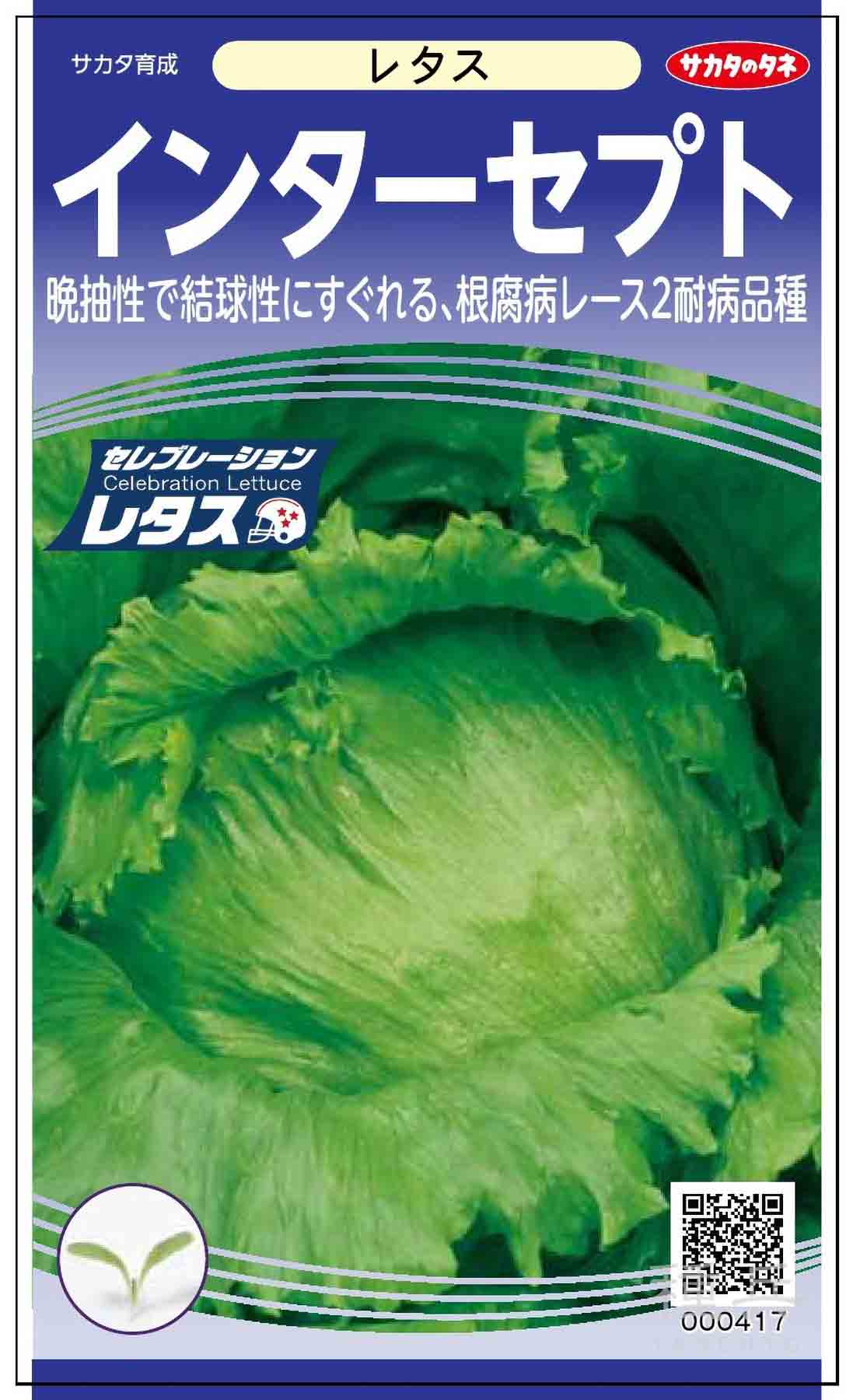 レタス 種 『インターセプト』 サカタのタネ/ペレット 5000粒 : 種兵