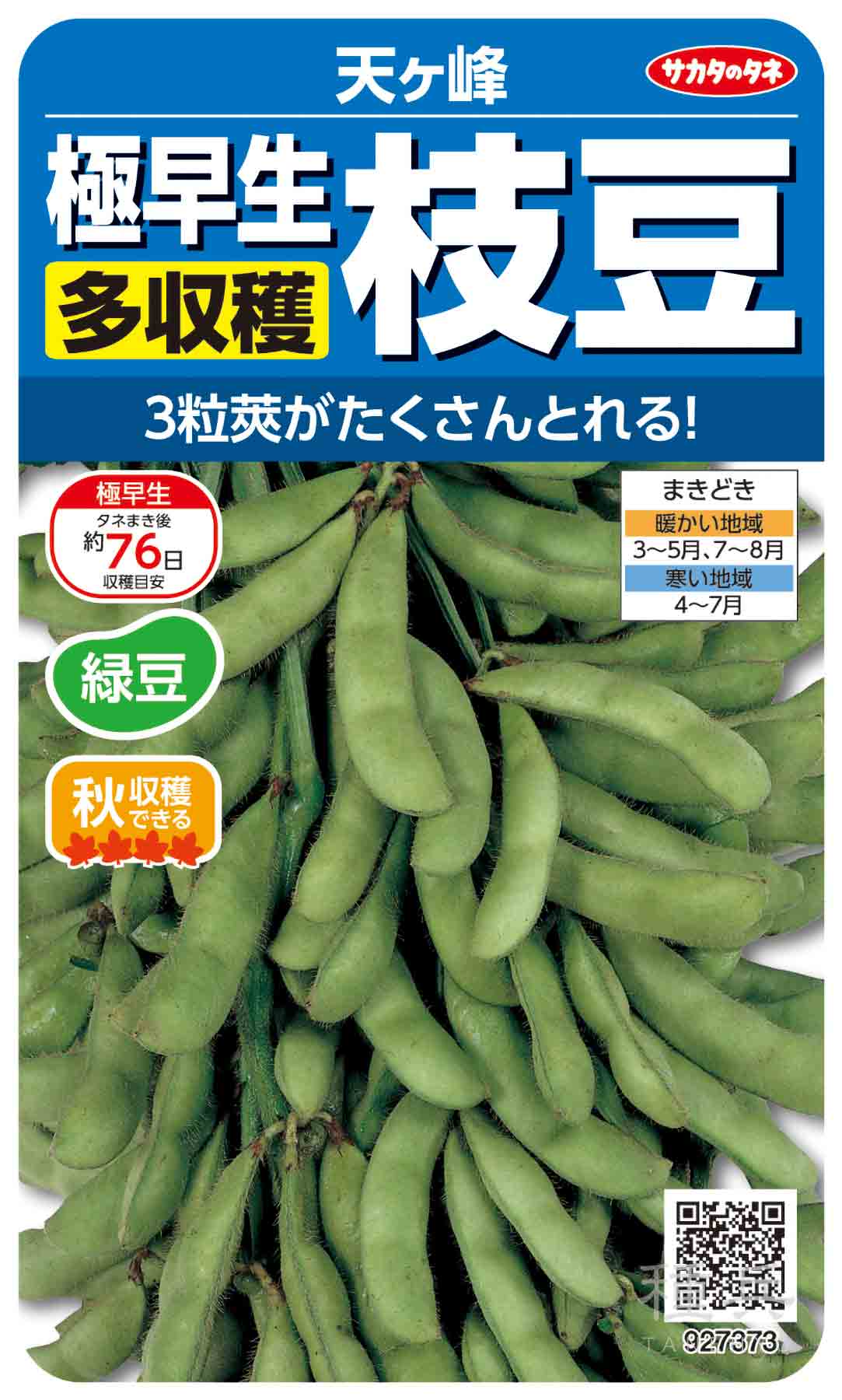 ネギ 種 『冬扇シオン』 サカタのタネ/ペレット 6000粒 : 種兵ネット