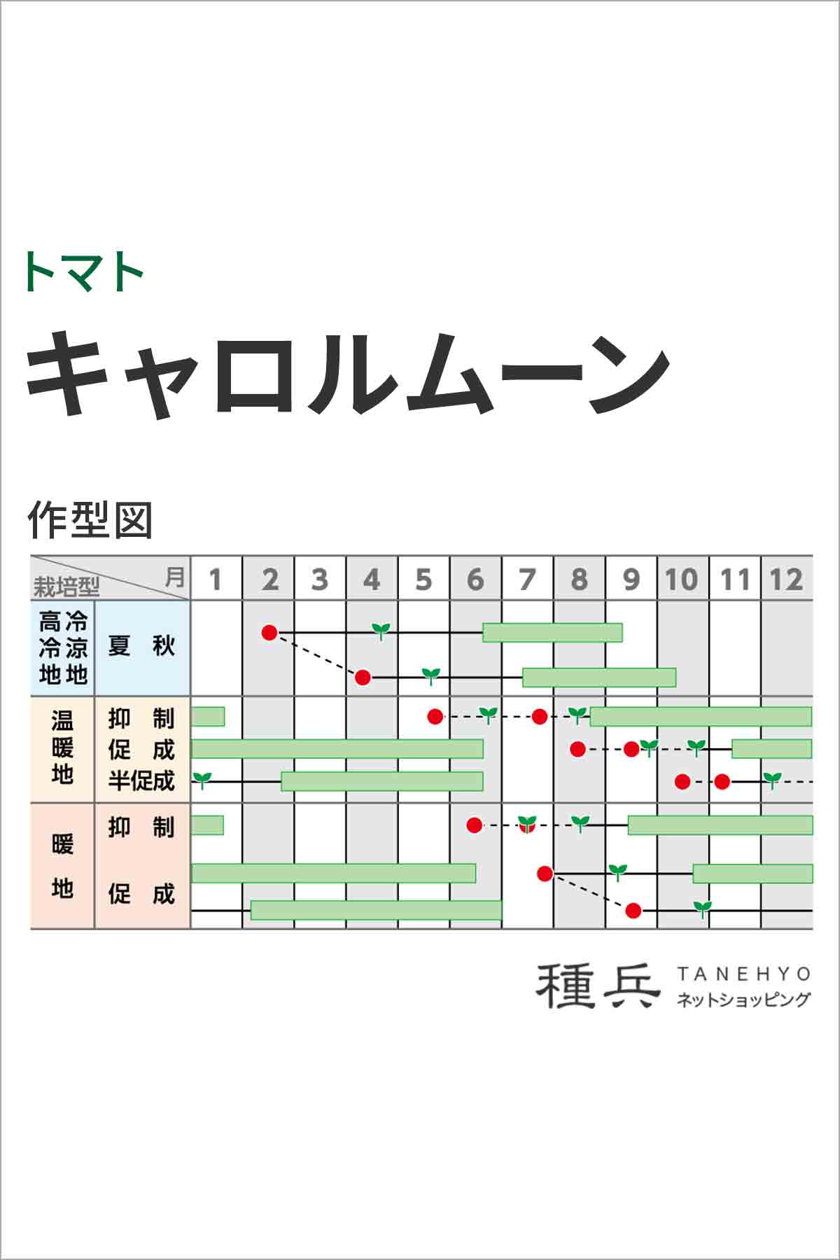 ミニトマト 種 『キャロルムーン』 サカタのタネ/1000粒_1