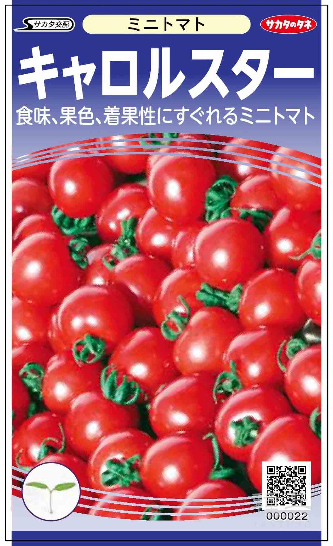 ミニトマト 種 『キャロルスター』 サカタのタネ/1000粒