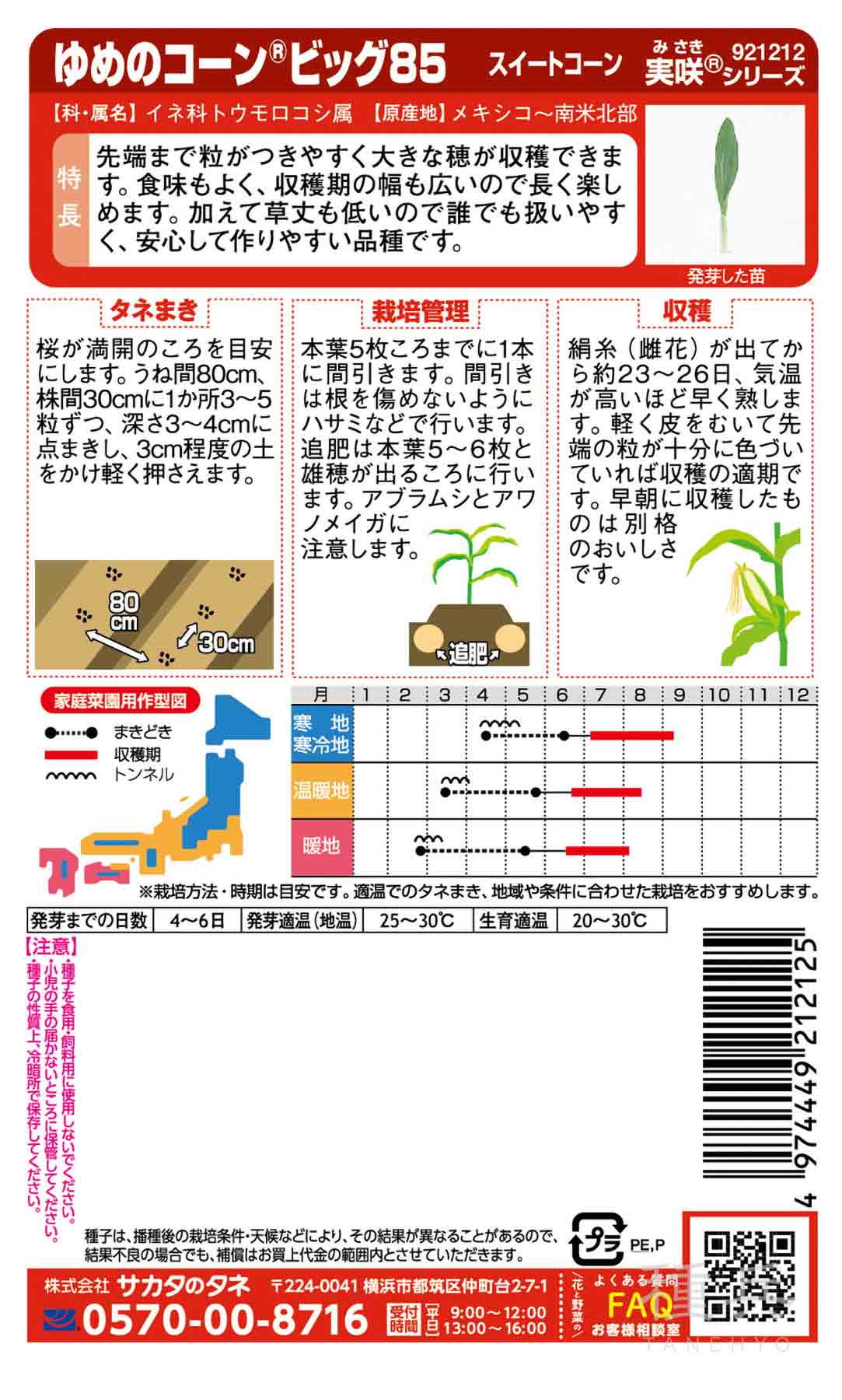 スイートコーン 種 『ゆめのコーンビッグ８５』 サカタのタネ/2000粒
