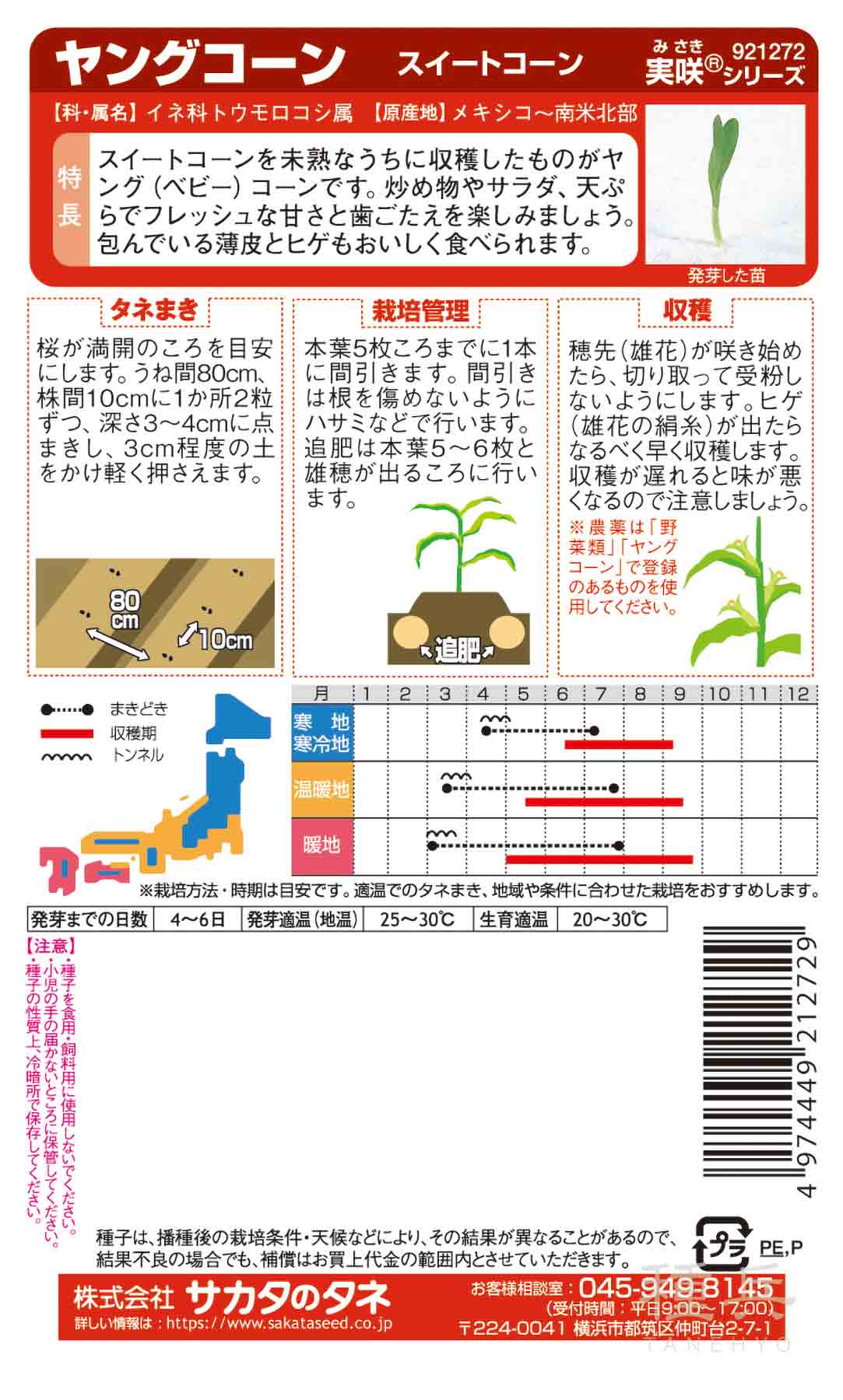スイートコーン 種 『ヤングコーン』 サカタの...の詳細画像1