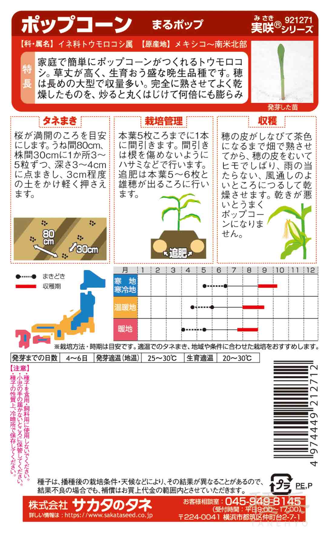 ポップコーン 種 『まるポップ』 サカタのタネ/小袋の詳細画像1