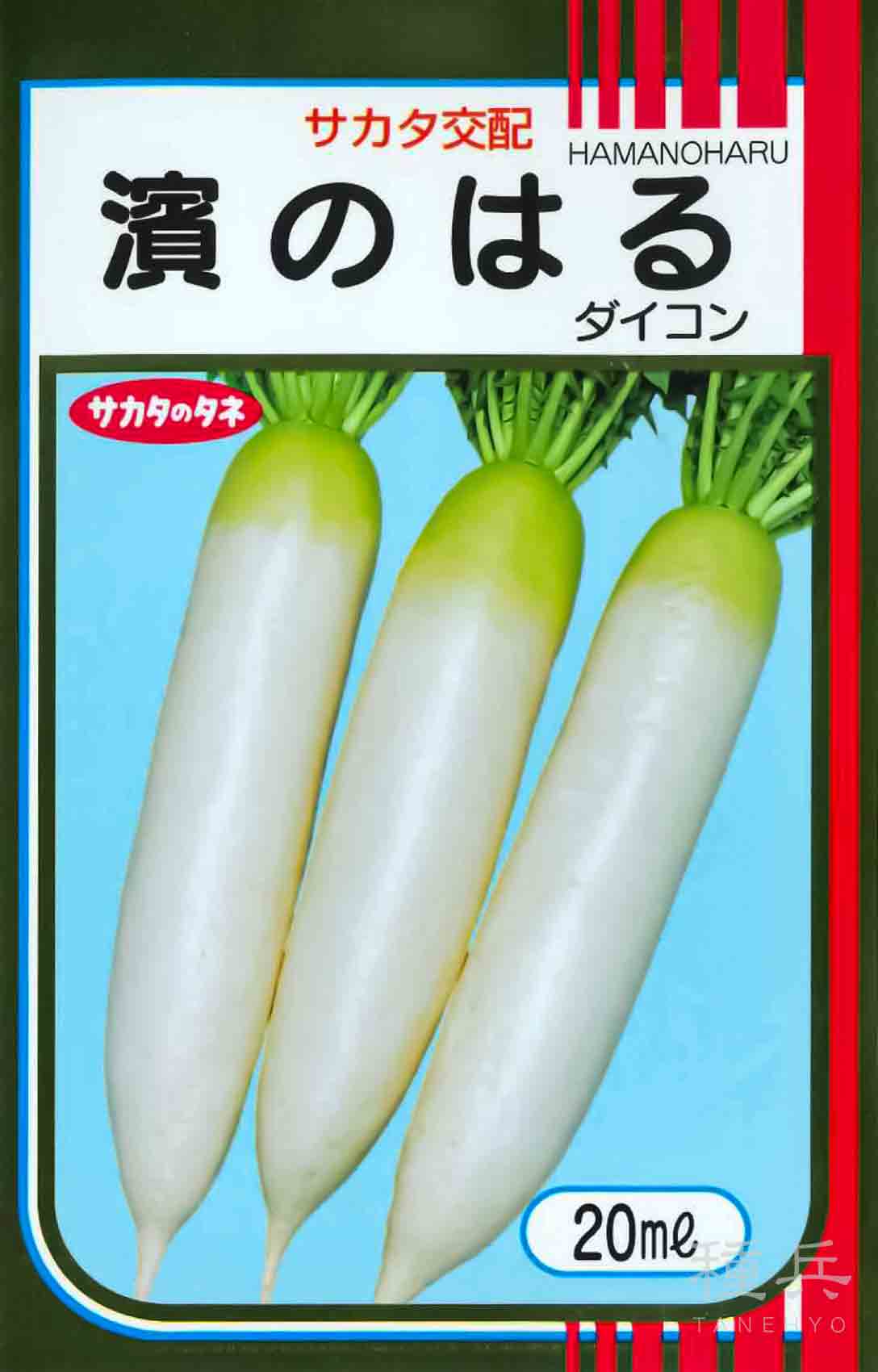 ブロッコリー 種 『アーリーキャノン』 サカタのタネ/ペレット 5000粒