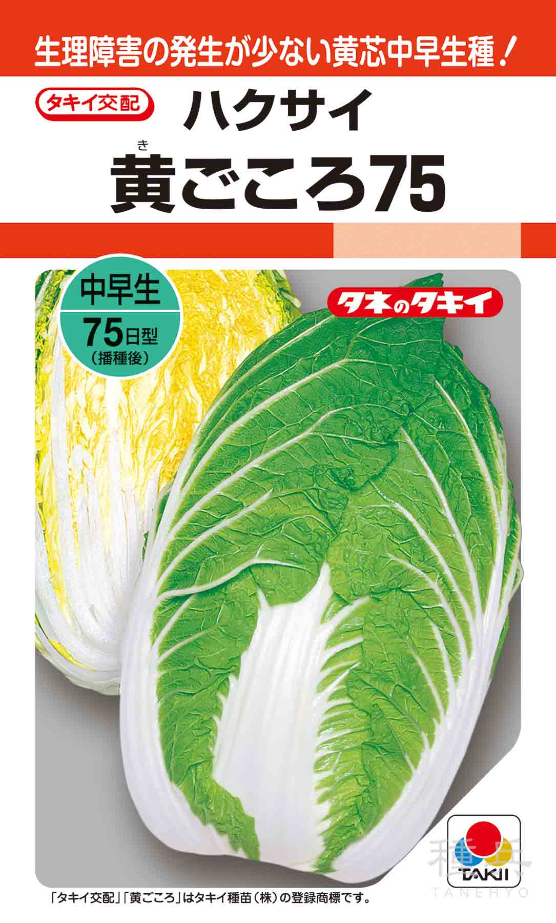黄芯秋冬どりハクサイ 種 『黄ごころ75』 AHA015 タキイ種苗/1dl