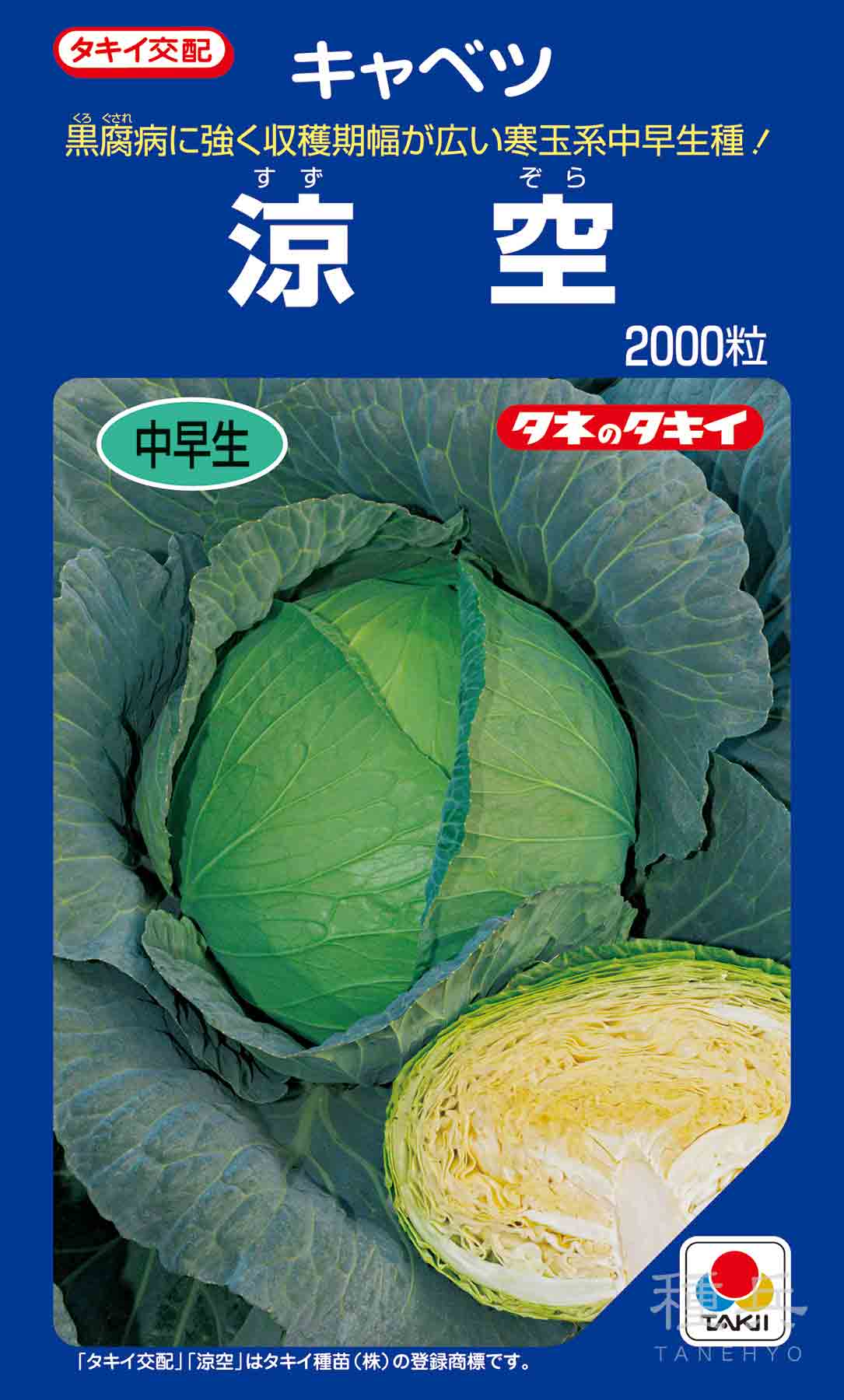 キャベツ様 寒玉系初夏どりキャベツ 種 『涼空』 ACA0K1 タキイ種苗/2000粒 : 種兵