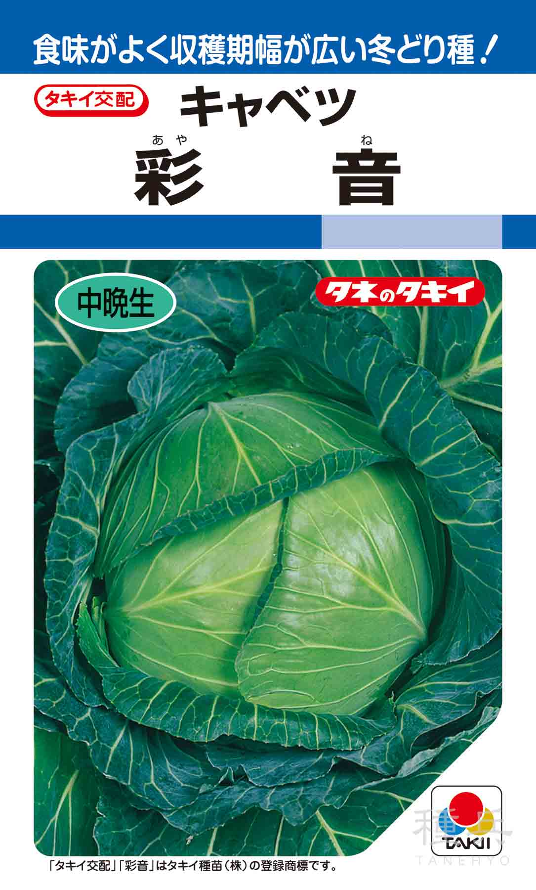 苗 キャベツ苗 200本 冬魂