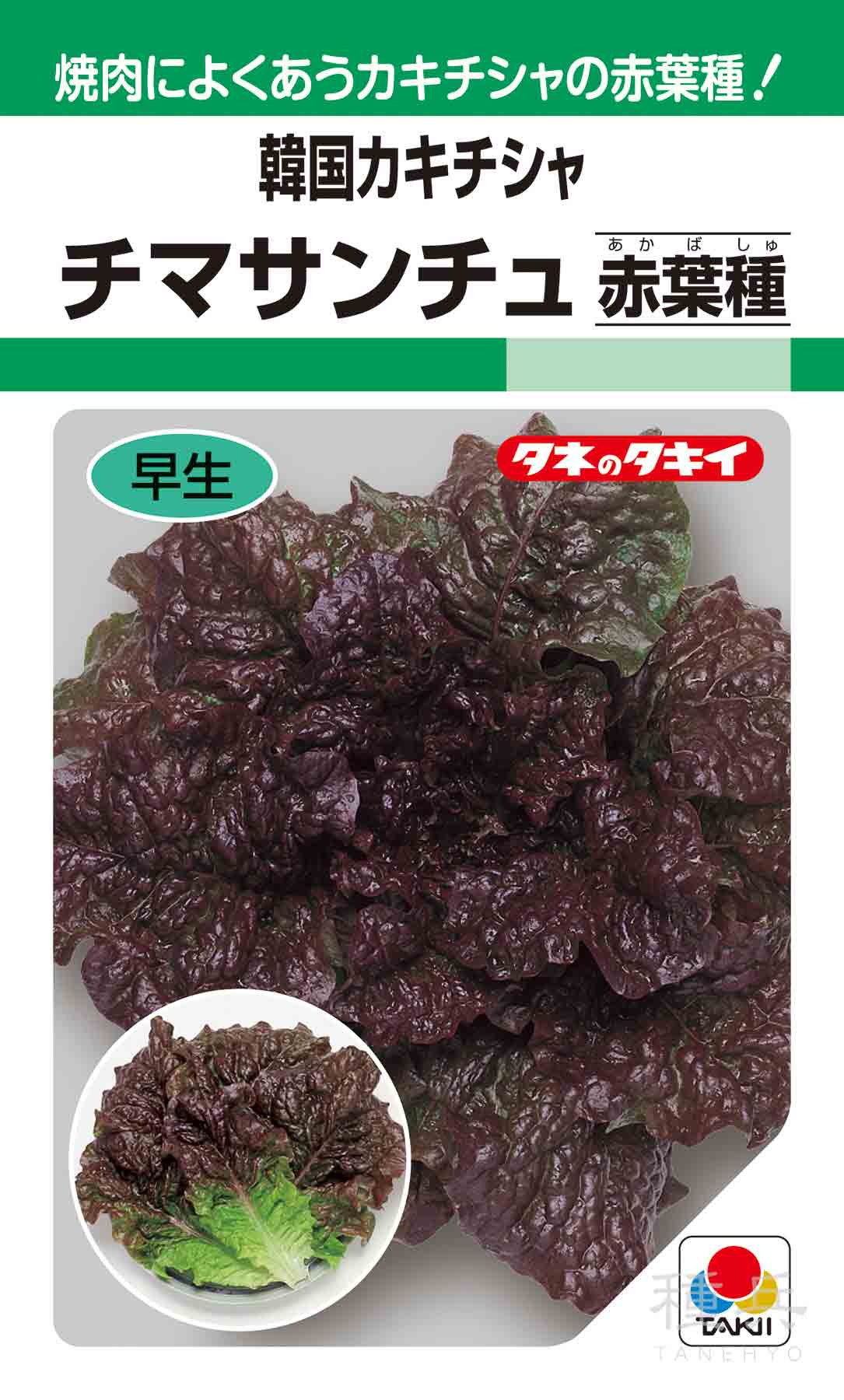 根深ネギ 種 『冬月の雫』 トキタ種苗/コート5000粒 : 種兵ネット