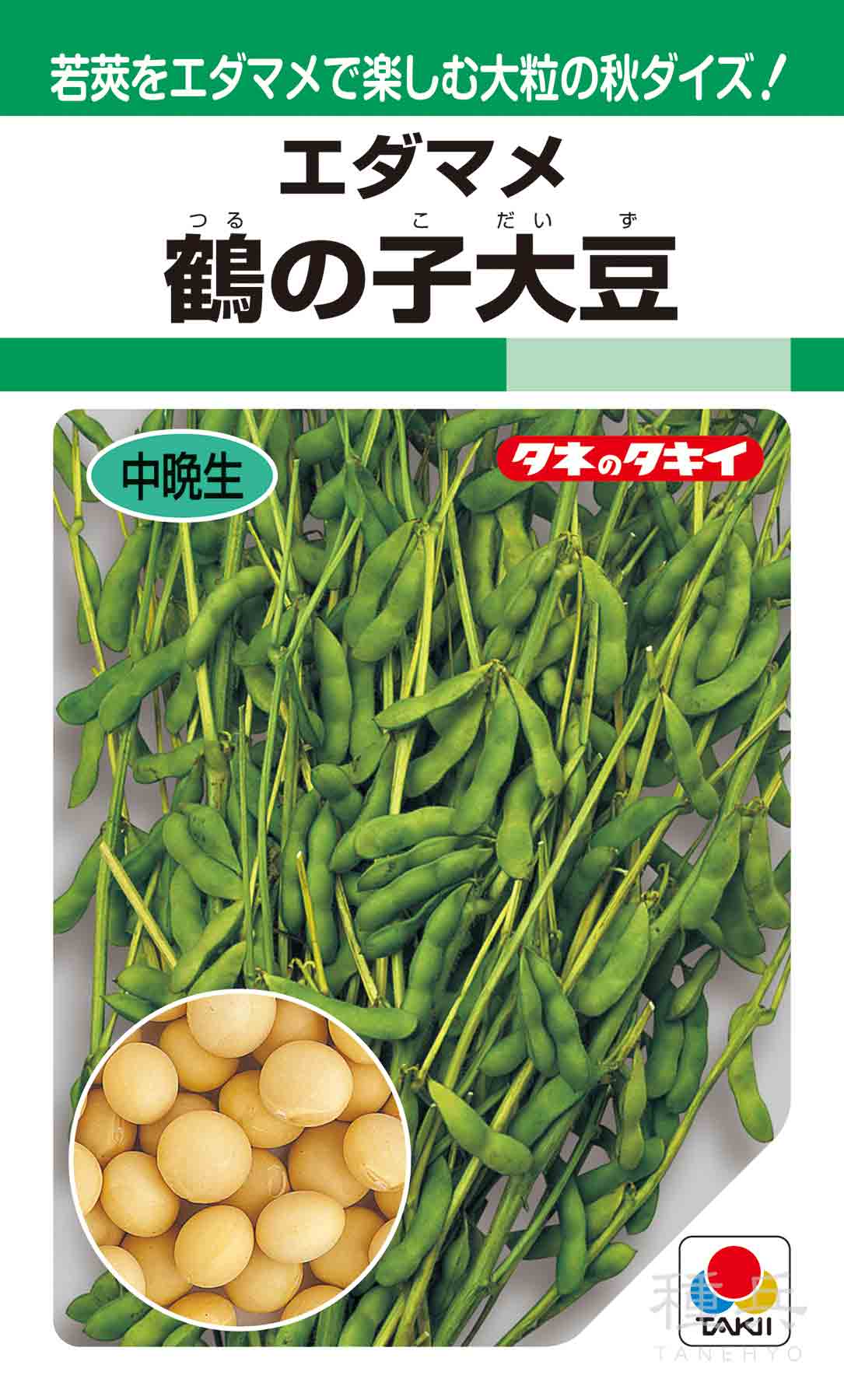 大豆（若莢収穫） 種 『鶴の子大豆』 AED131 タキイ種苗/小袋(GF) : 種兵ネットショッピング - 通販 - Yahoo!ショッピング