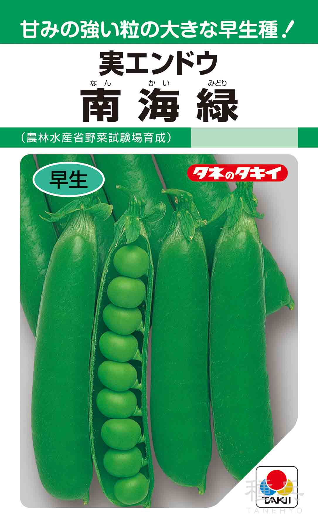 実エンドウ 種 『南海緑』 AEN130 タキイ種苗/1L : 種兵ネット