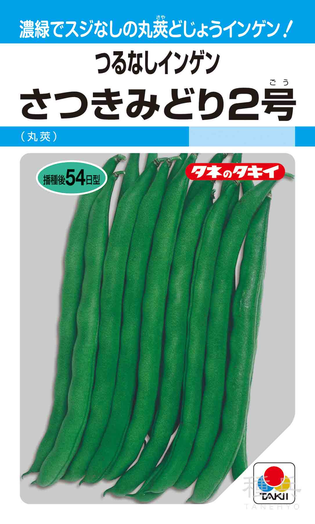 つるなしインゲン 種 『さつきみどり2号』 ASA126 タキイ種苗/小袋(MF